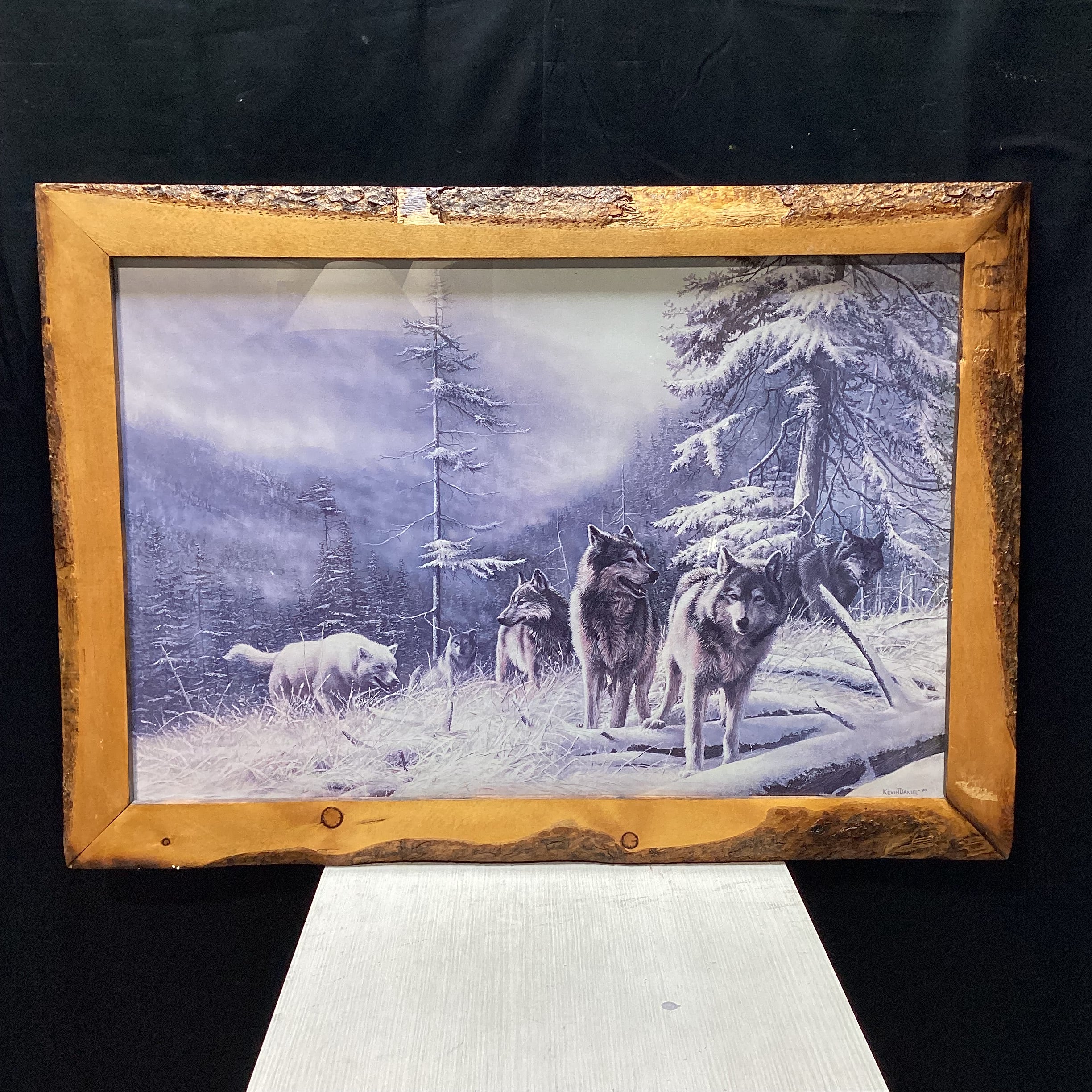 Kevin Daniel "Search For Survival" Print In Natural Wood Frame 41" x 21"
