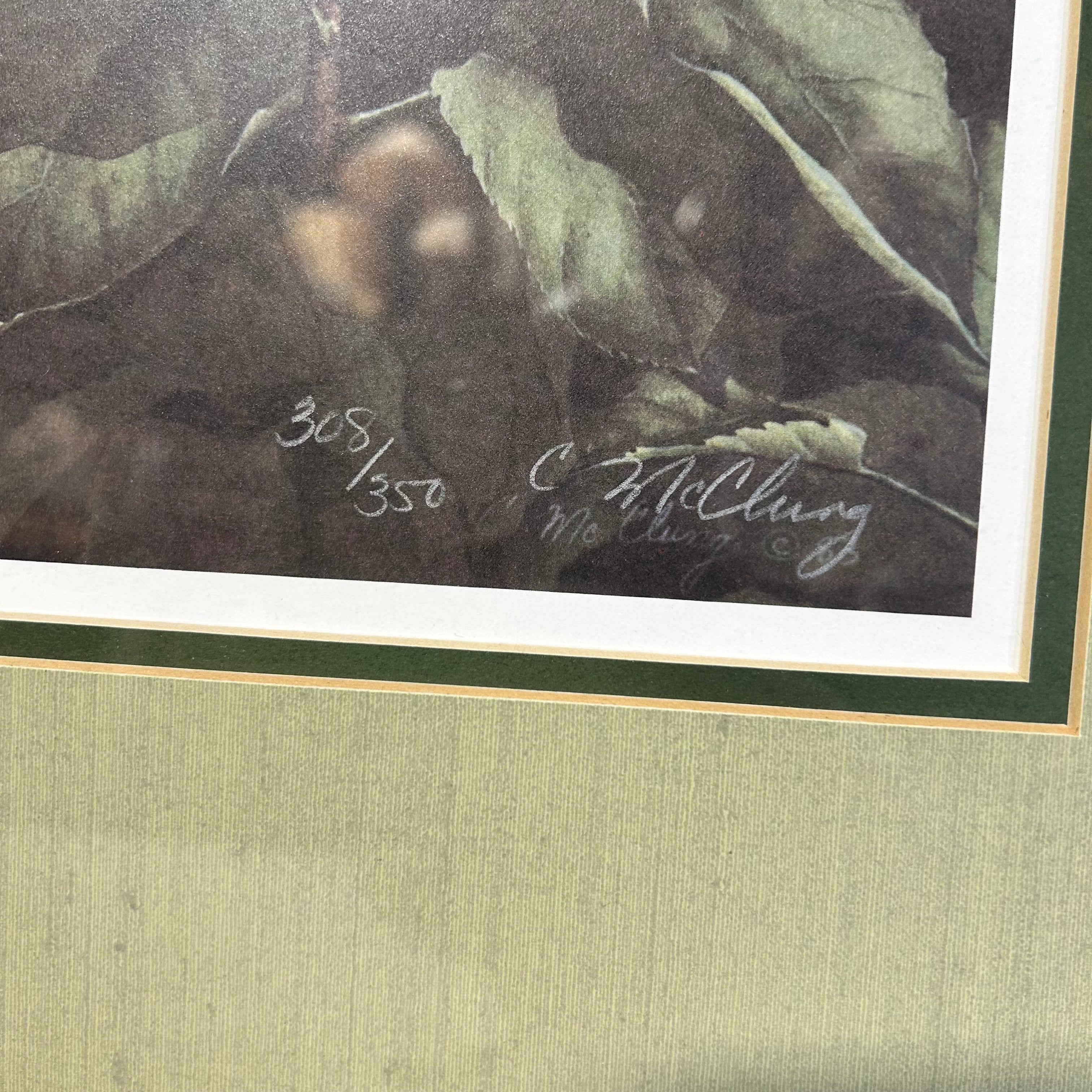 Catherine McClung Vintage Signed 308/350 Framed Lithograph 20,5x 24"