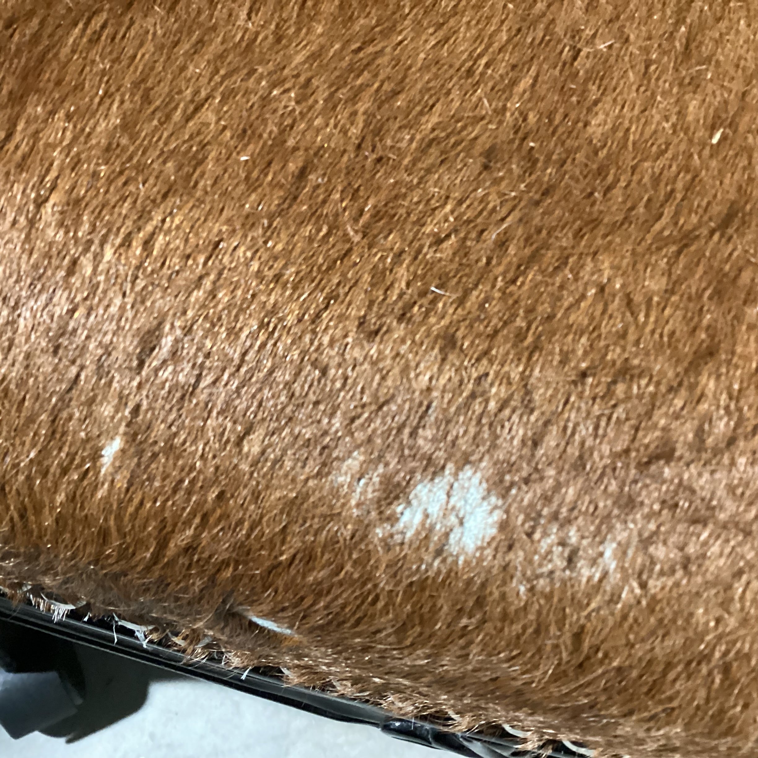 Carved Wood Cowhide & Grey Velvet Nailhead on Casters Chair 28"x 25"x 37"