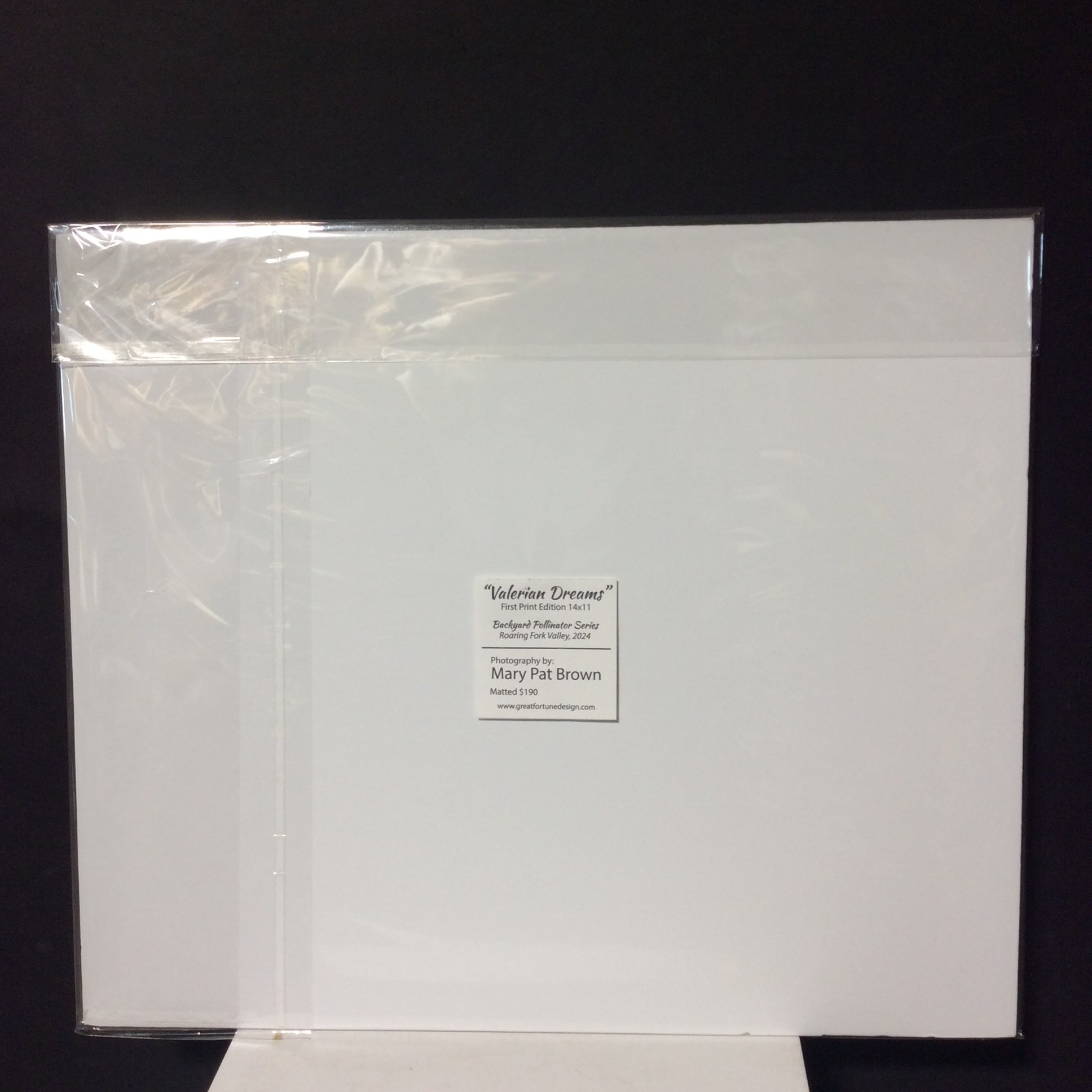 Matted W/Out Frame Signed "Valerian Dreams" Hummingbird Photograph 20" x 17"