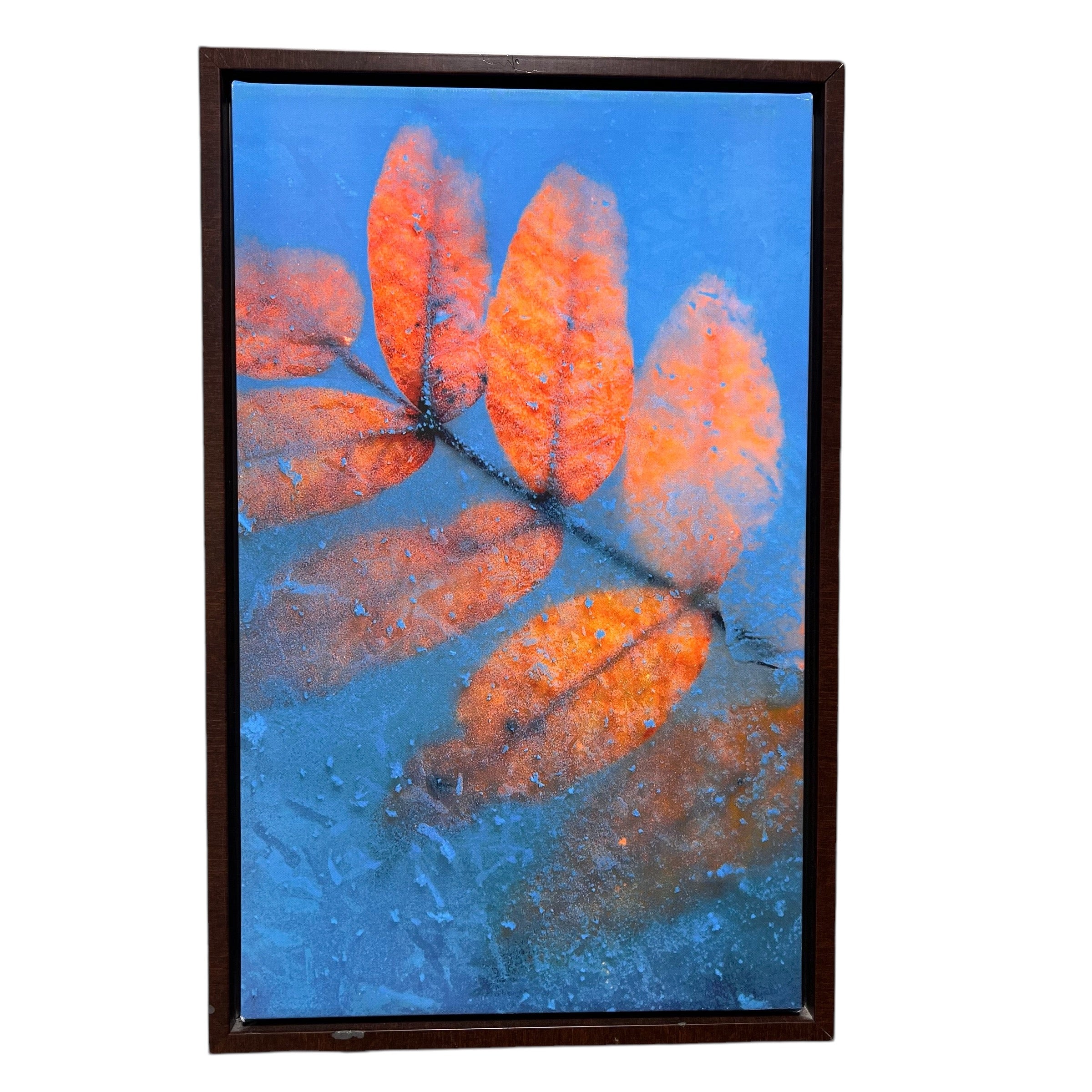 Orange and Blue Leaf Photograph Print on Framed Canvas Wall Decor; 18"x 24"