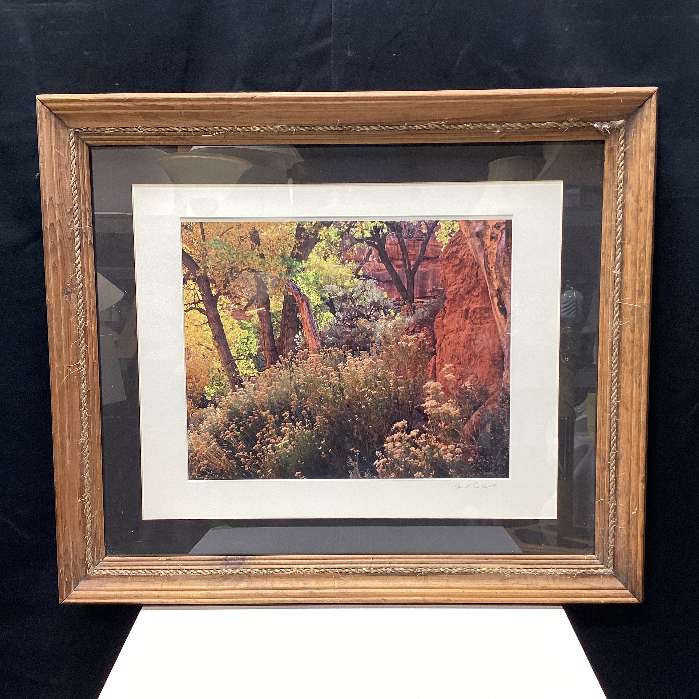 David Coldwell Signed Dessert Photograph In Rustic Wood Frame 28" x 24"