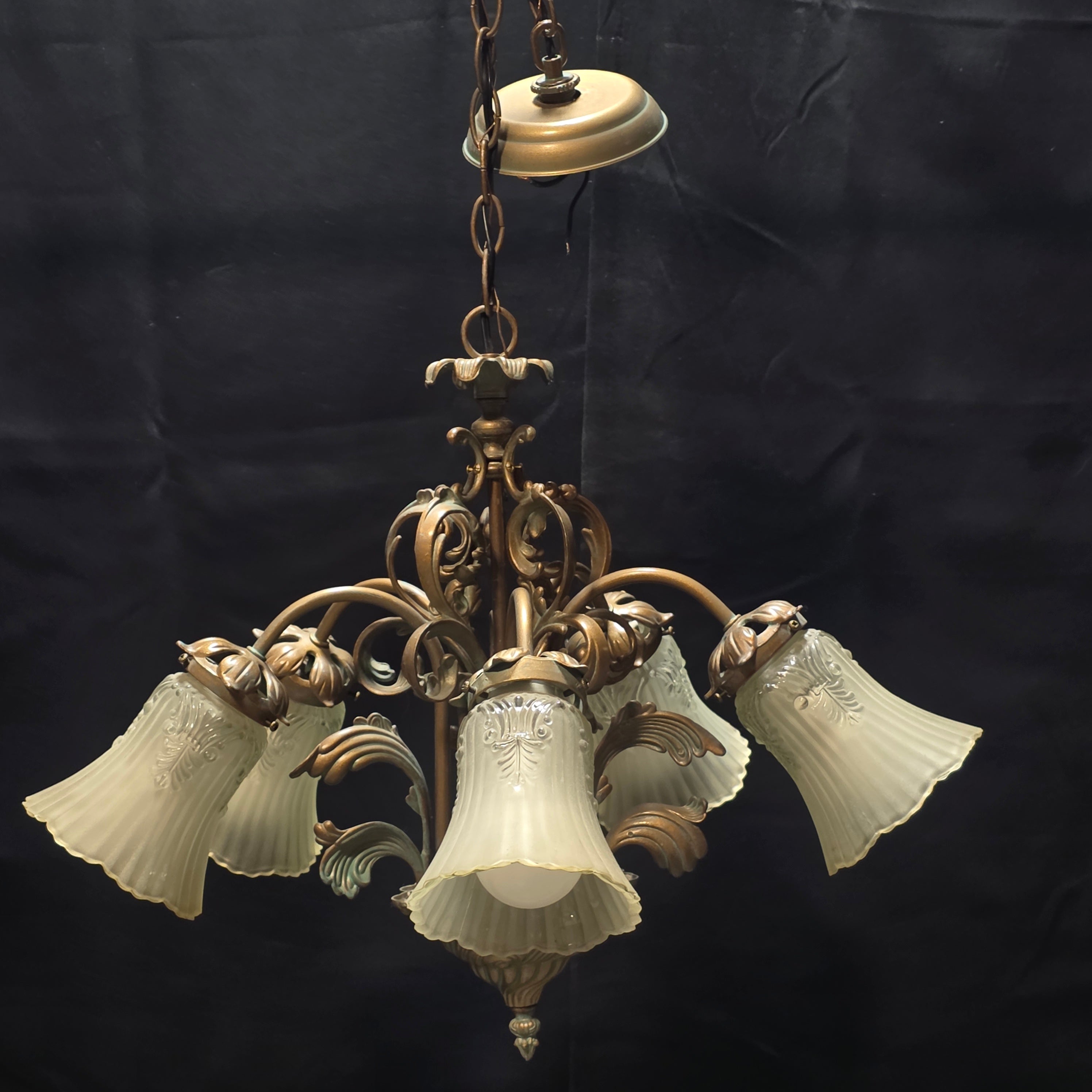 Art Nouveau Five Light Chandelier with Tulip Shades 23"x19"