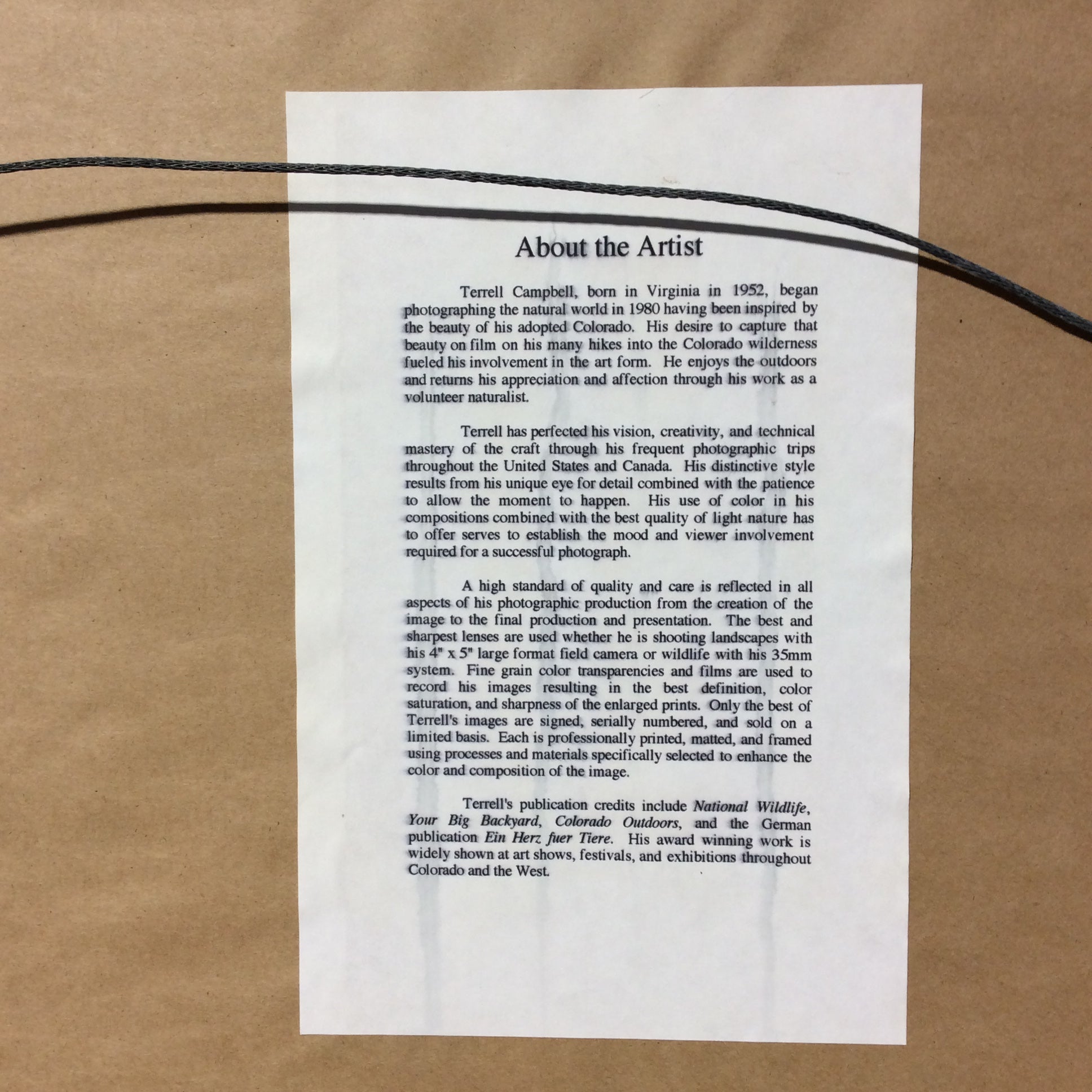 Terrell Campbell "White-Tail Princess" Photograph Print In Wood Frame 22" x 18"