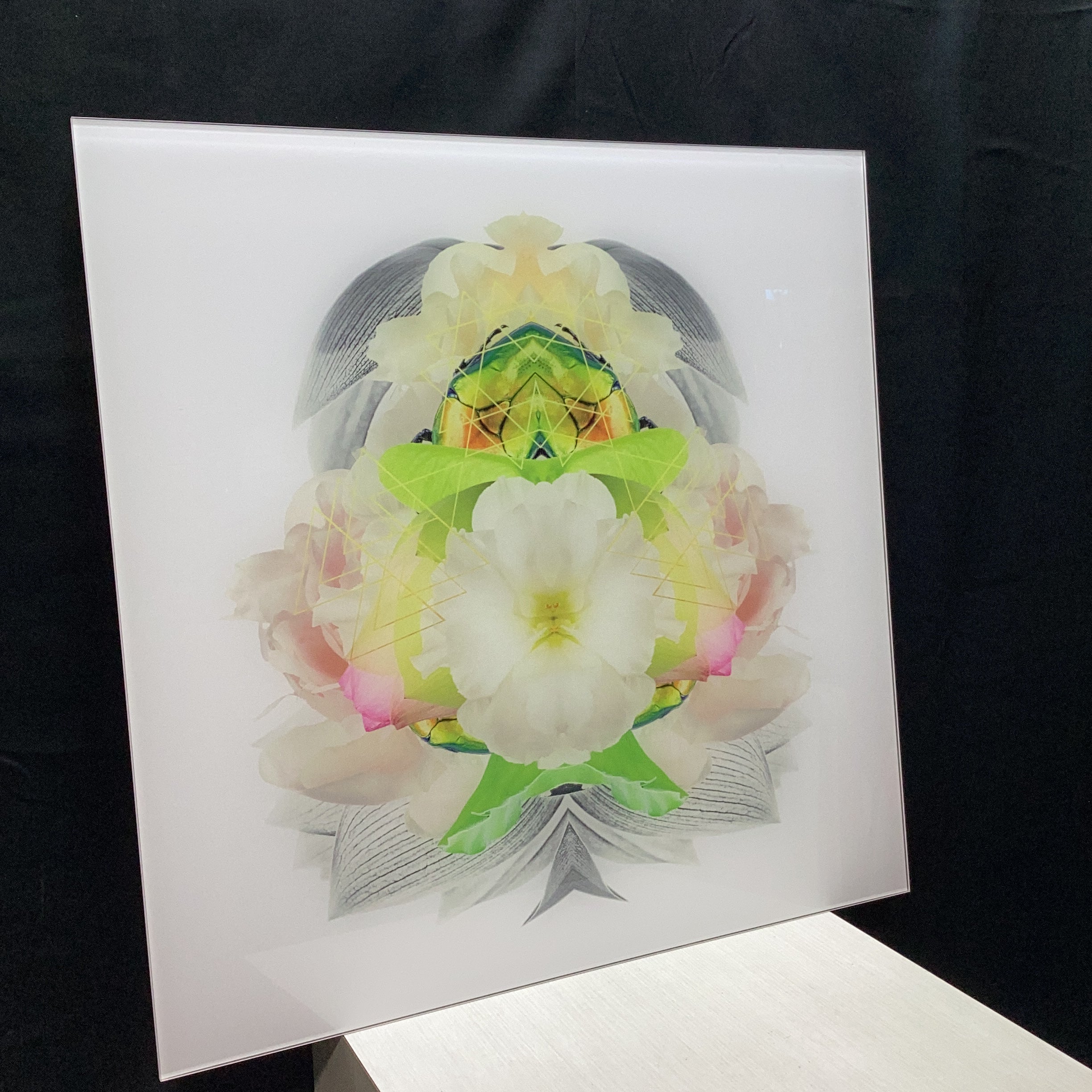 Symmetrical Beetle/Nature Photograph Print With Gold Triangular Details 30" x 30"