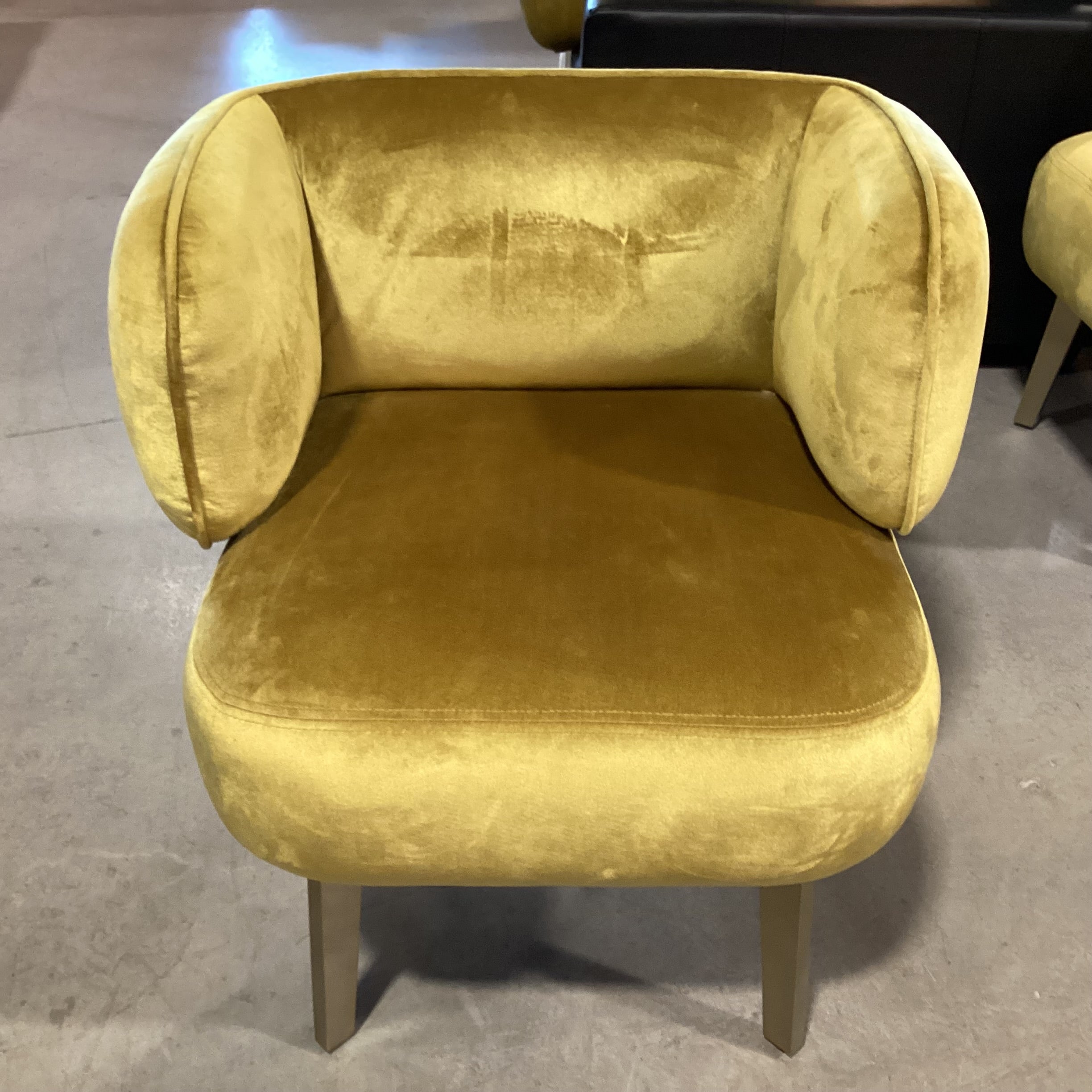 I was Made for You Interior Define Saffron Velvet & Gold Metal Modern Chair 27"x 24"x 30"