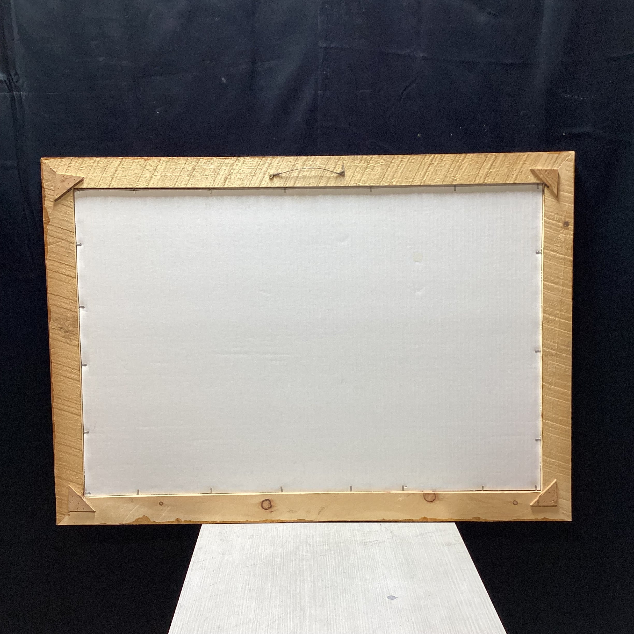 Kevin Daniel "Search For Survival" Print In Natural Wood Frame 41" x 21"