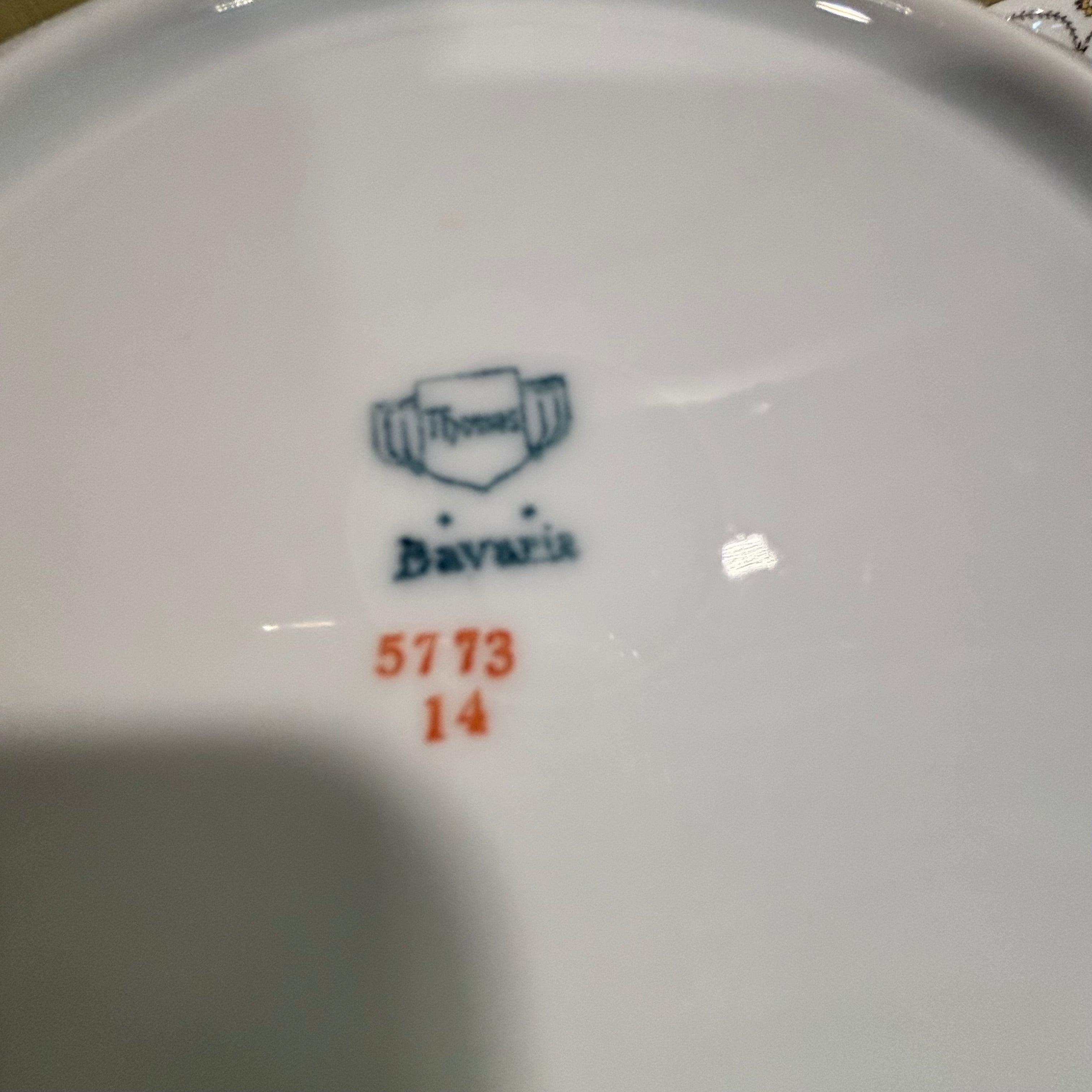 Set of 36 Pieces Thomas Bavaria China Dinnerware