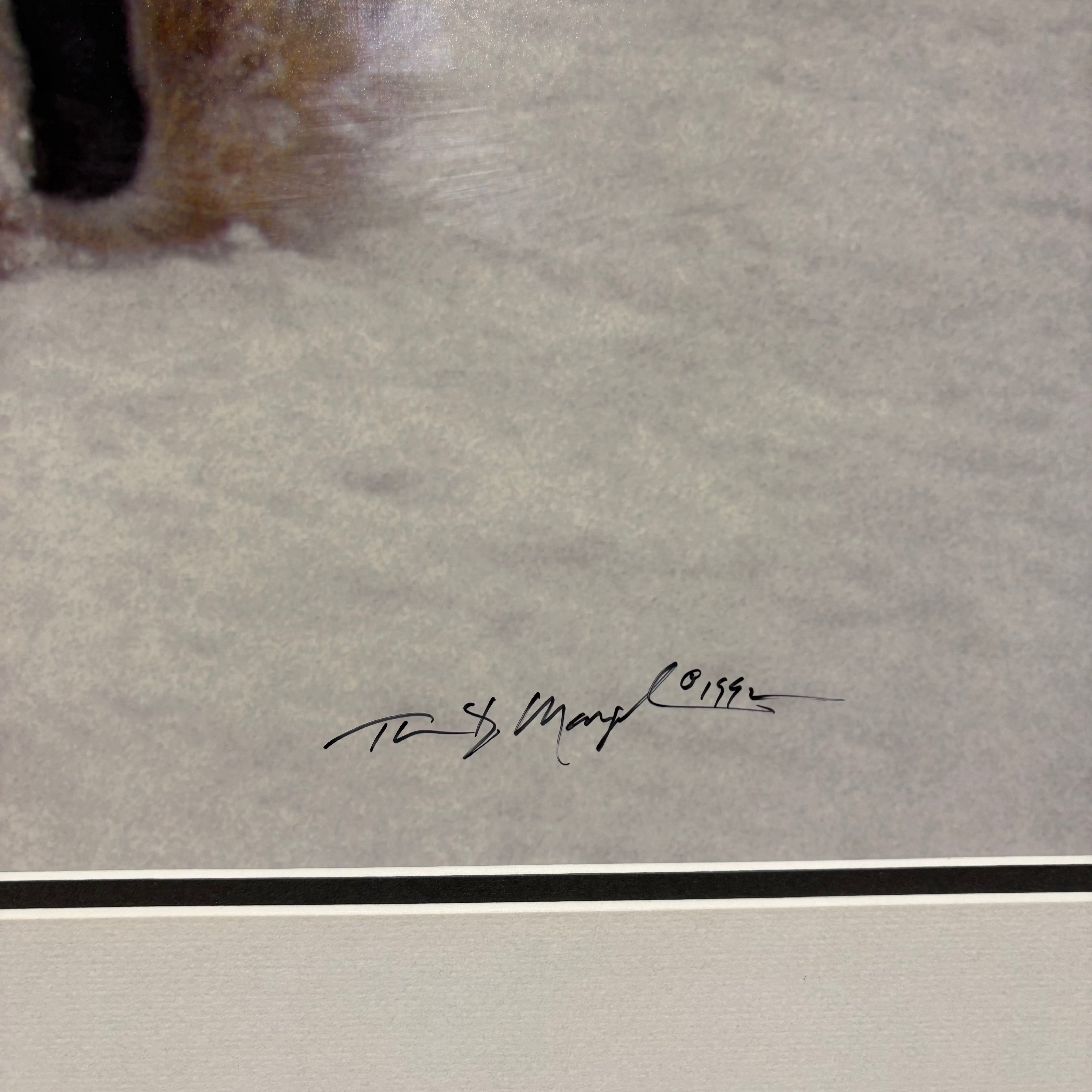 Thomas Mangelsen “Bad Boys of the Arctic” Signed and Frame Wall Decor 58” x 44”