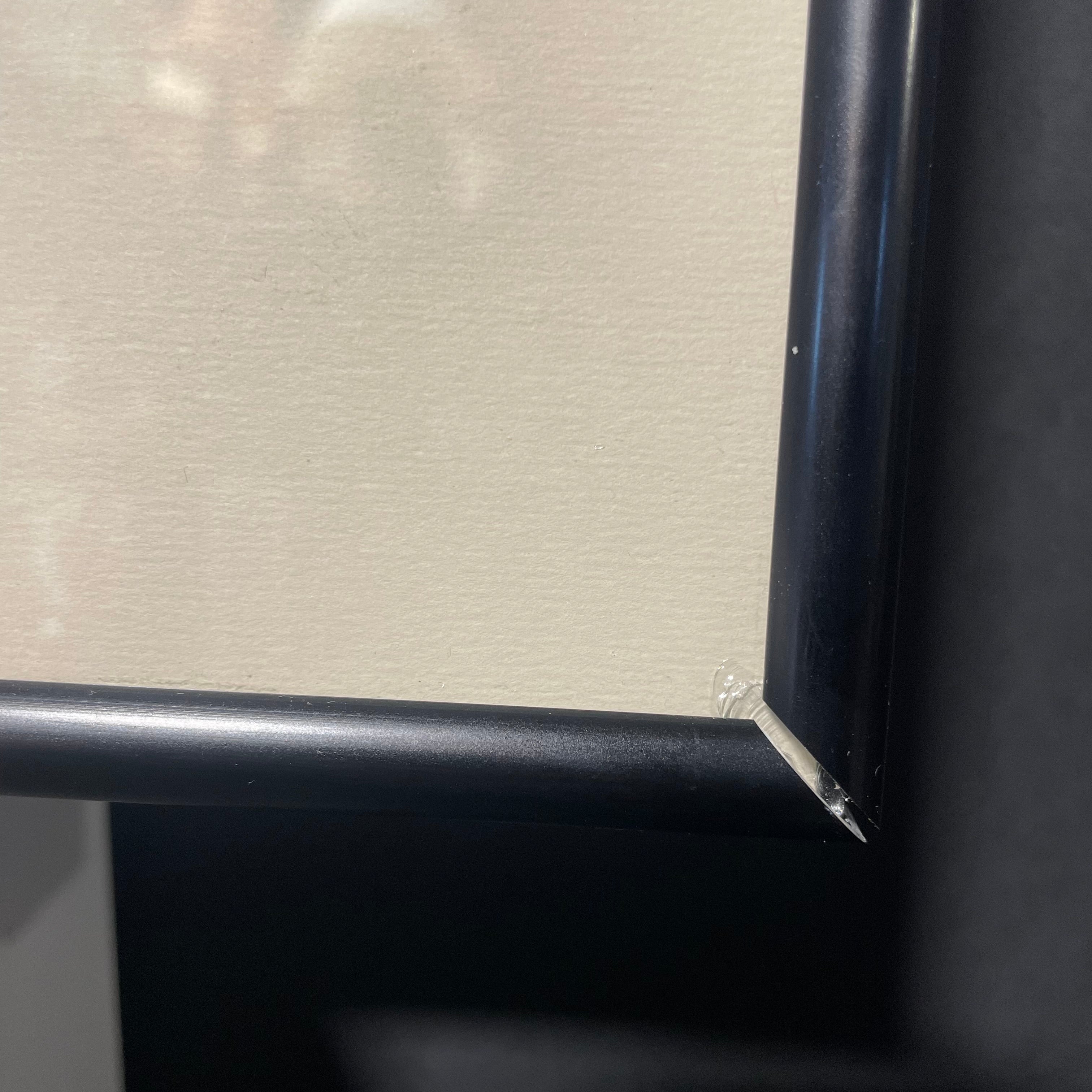 Lions Drinking At The Watering Hole Photograph In A Black Frame 19" x 15"