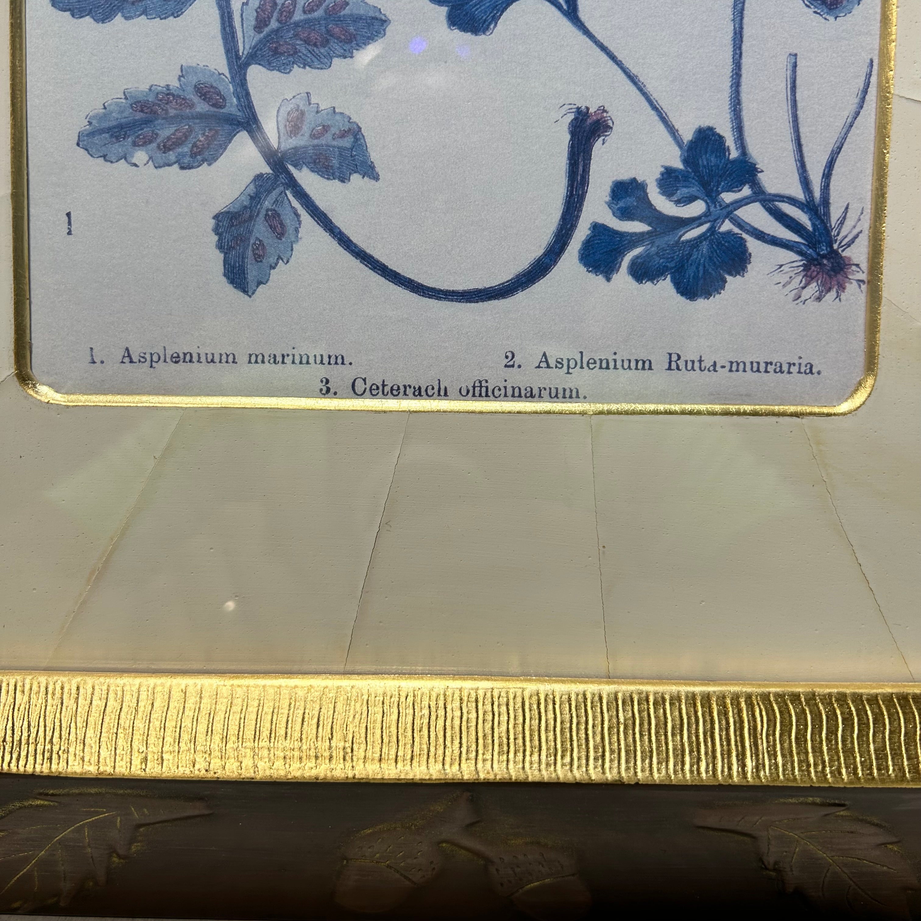 Botanical Fern Print With Gold & Copper Oak Leaf Frame 14.5"x 19"