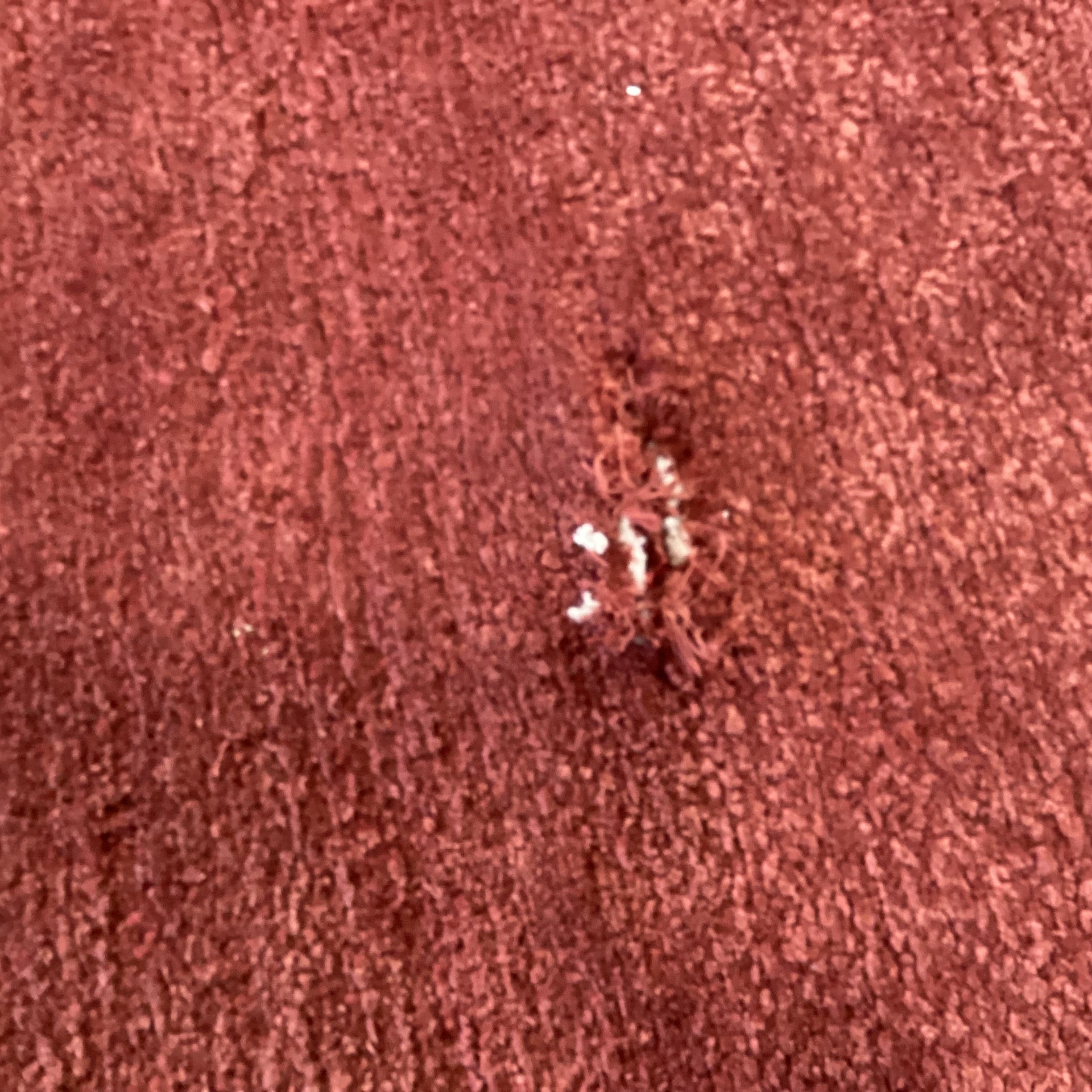 Rust Red & Gold Ribbon Hand Knotted Hand Spun Wool Custom Made in Nepal Rug 16'x 19'5"