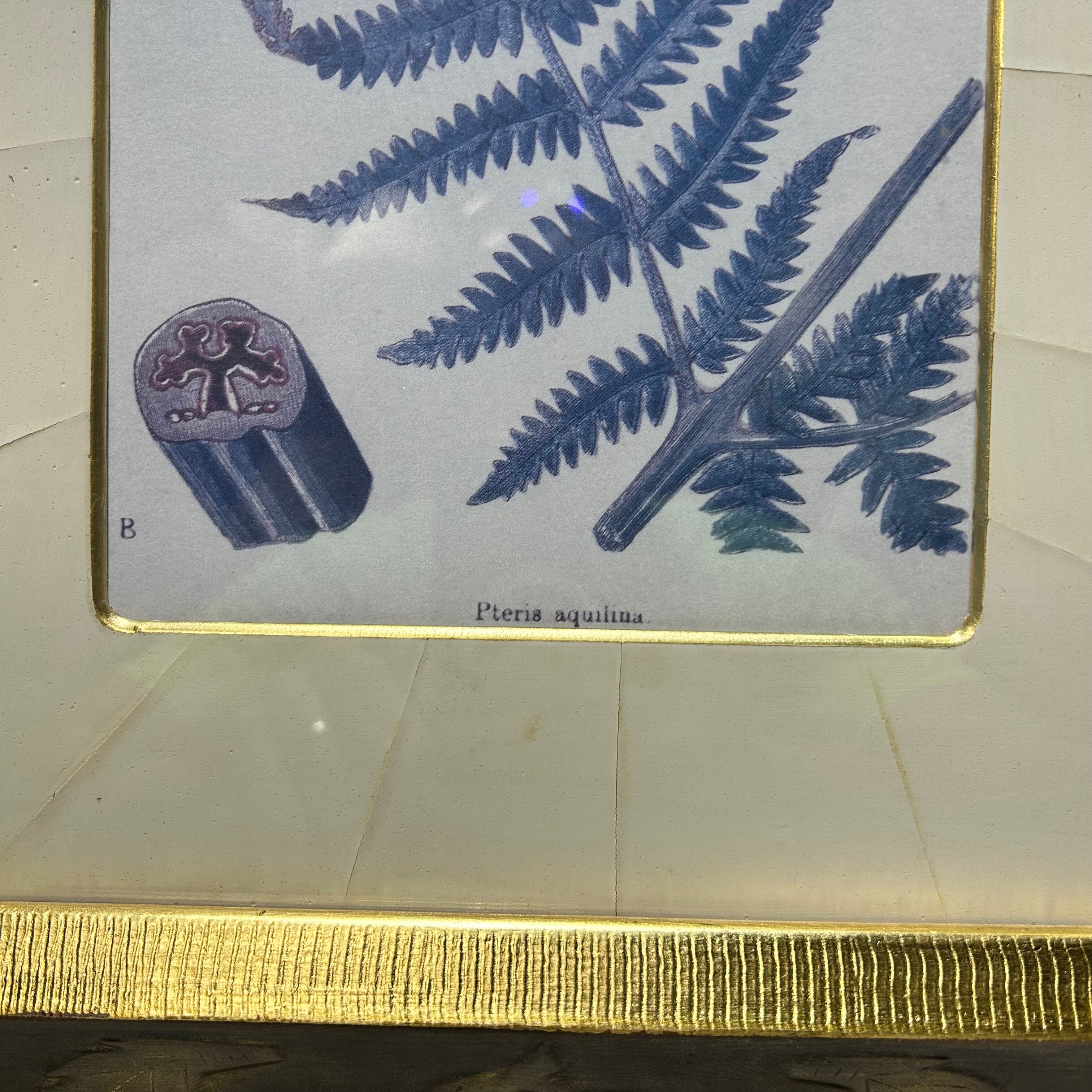 Botanical Fern Print With Gold & Copper Oak Leaf Frame 14.5"x 19"