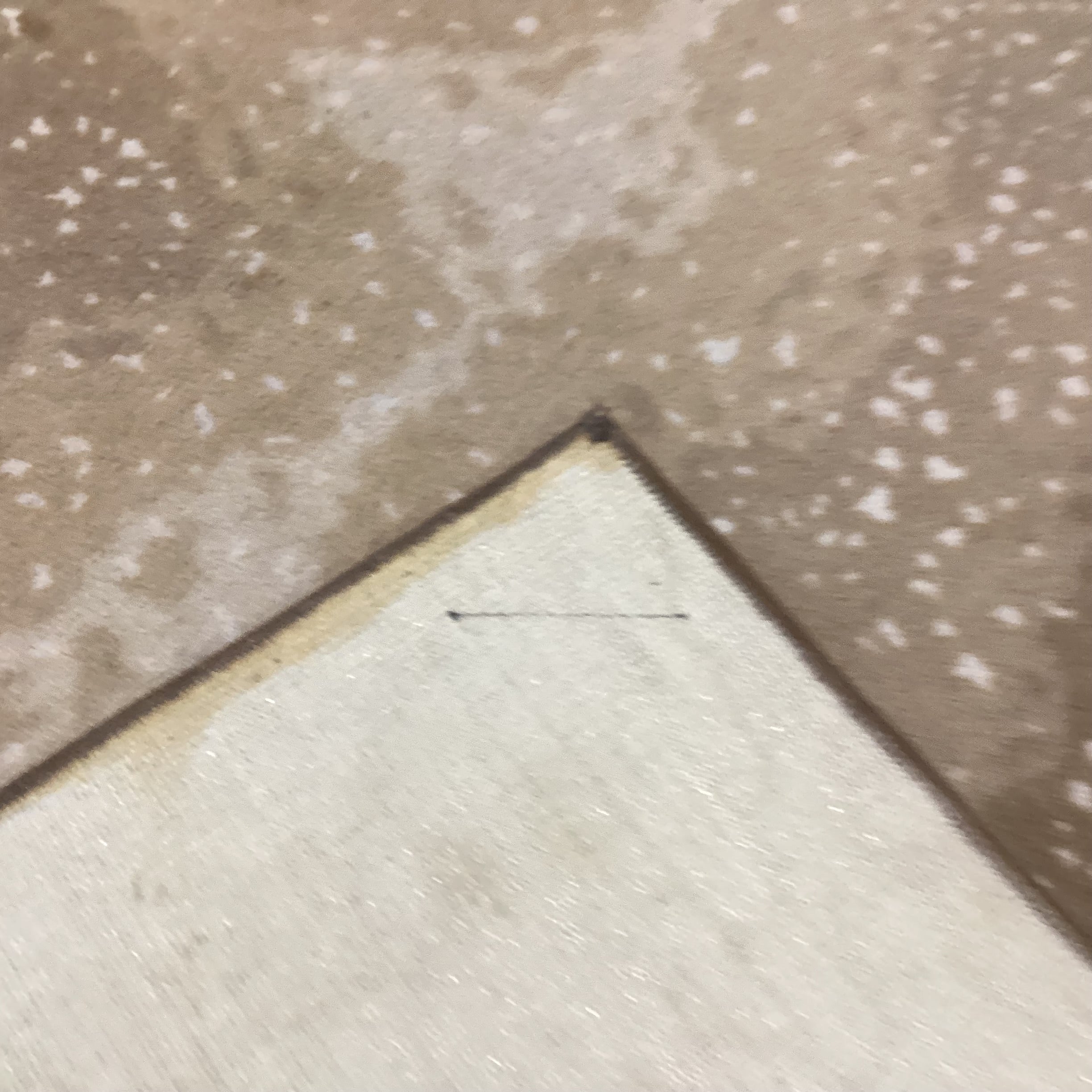 Axis Deer Style Custom Finished Carpet Rug 12'x 16'