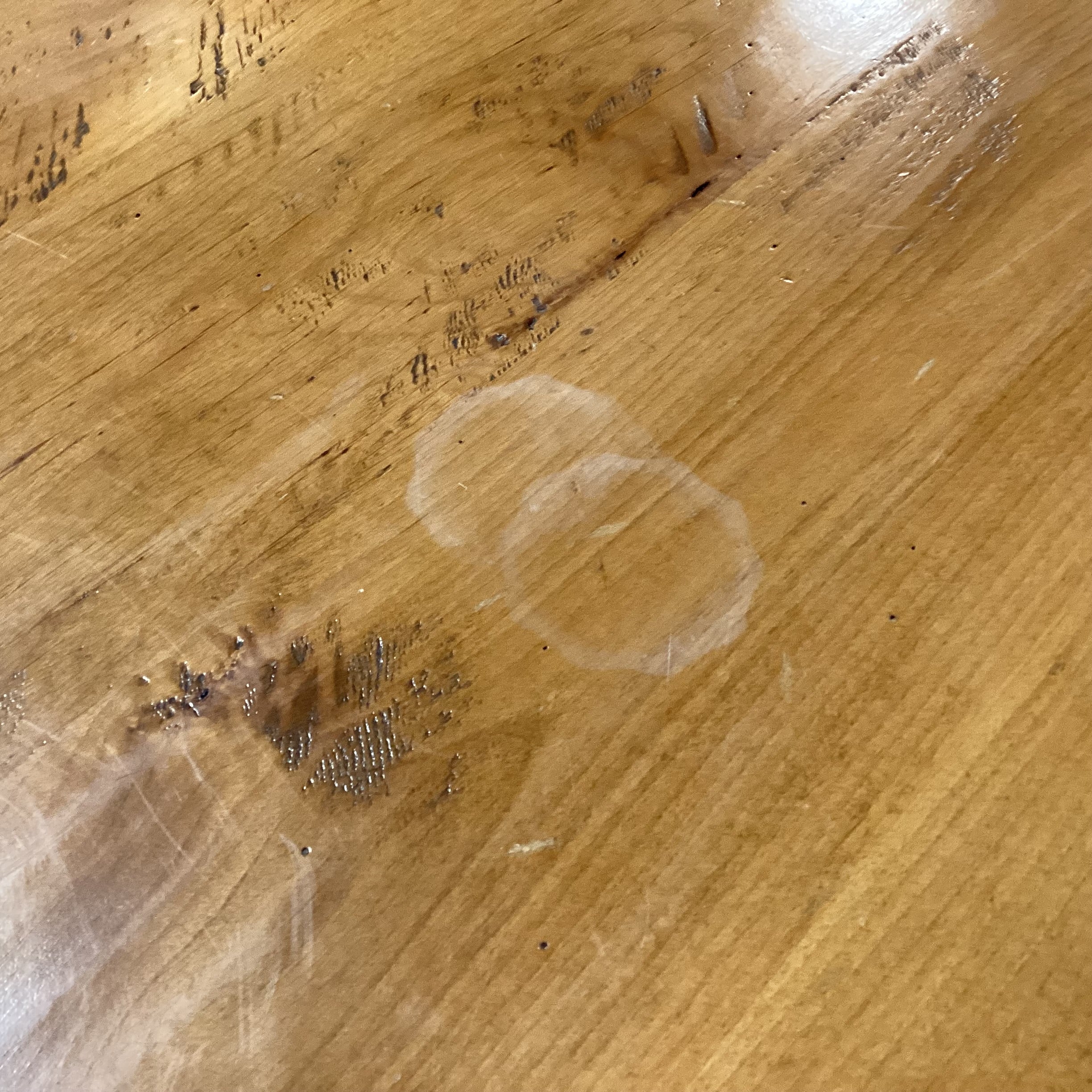Round Distressed Finish Wood with Pedestal Table & 4 Chairs with Leather Cushions Dining Set 66" Diameter x 30.5"