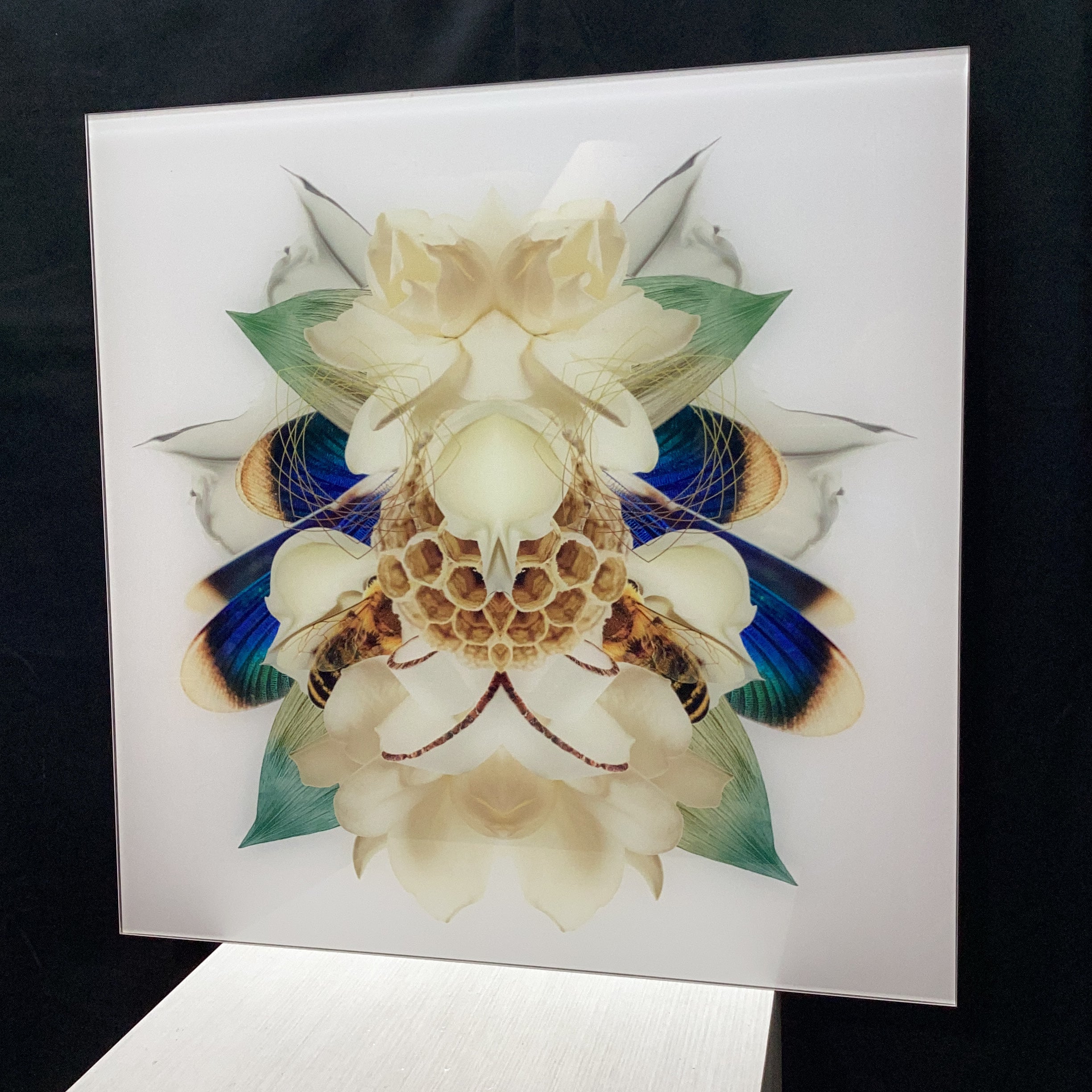 Symmetrical Bee/Nature Photograph Print 30" x 30"