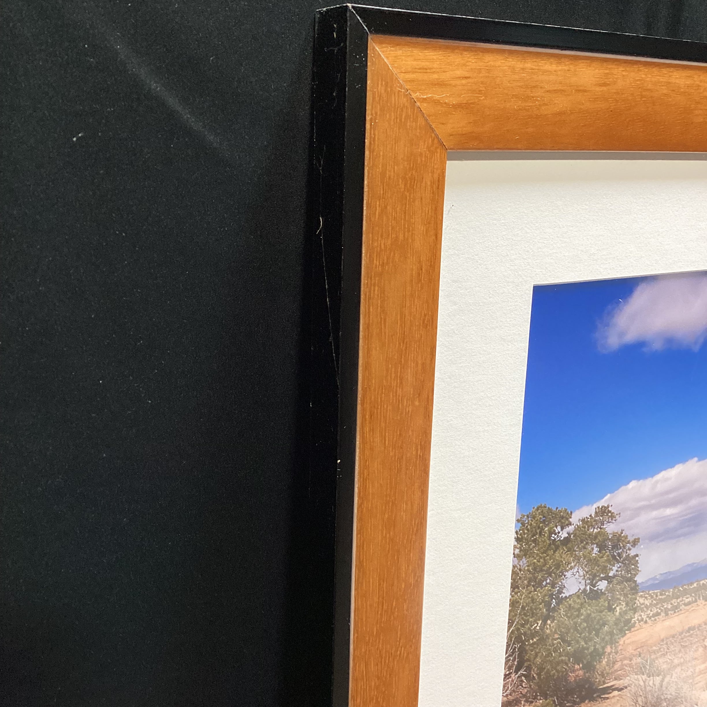 Panoramic Canyon Photograph In TruGuard Frame 58" x 19"