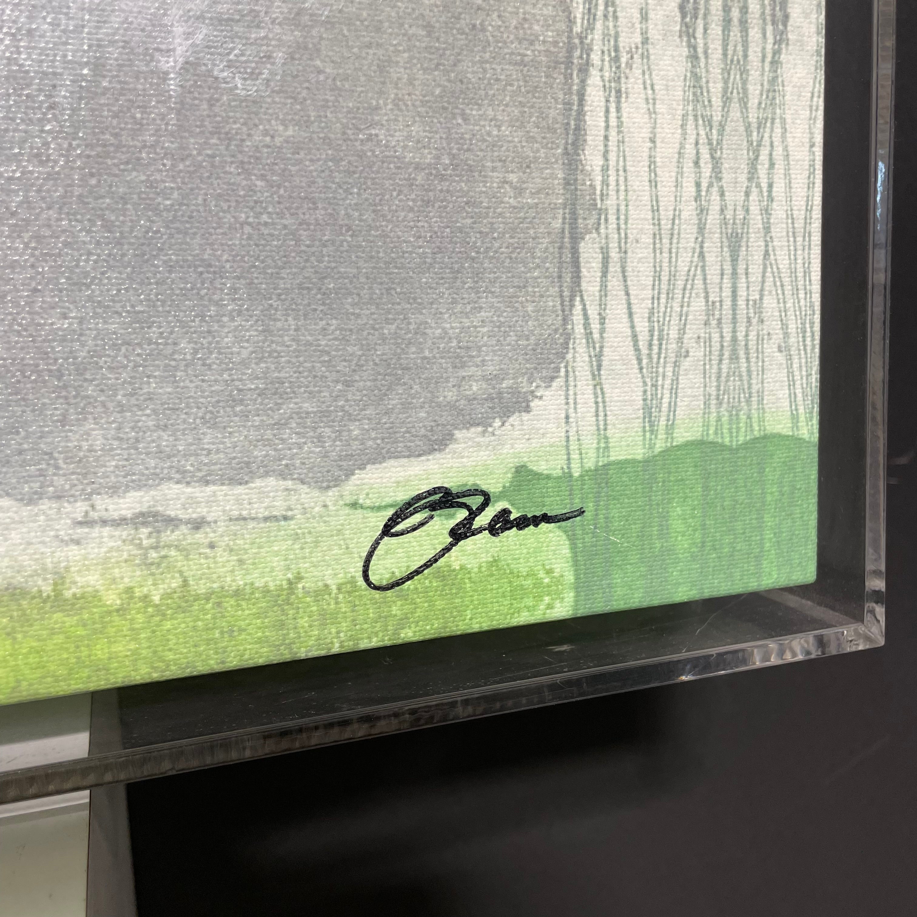 R. Jones Signed Limited Edition "Aurellio" Canvas Print In Acrylic Frame With Authentication 23" x 23"