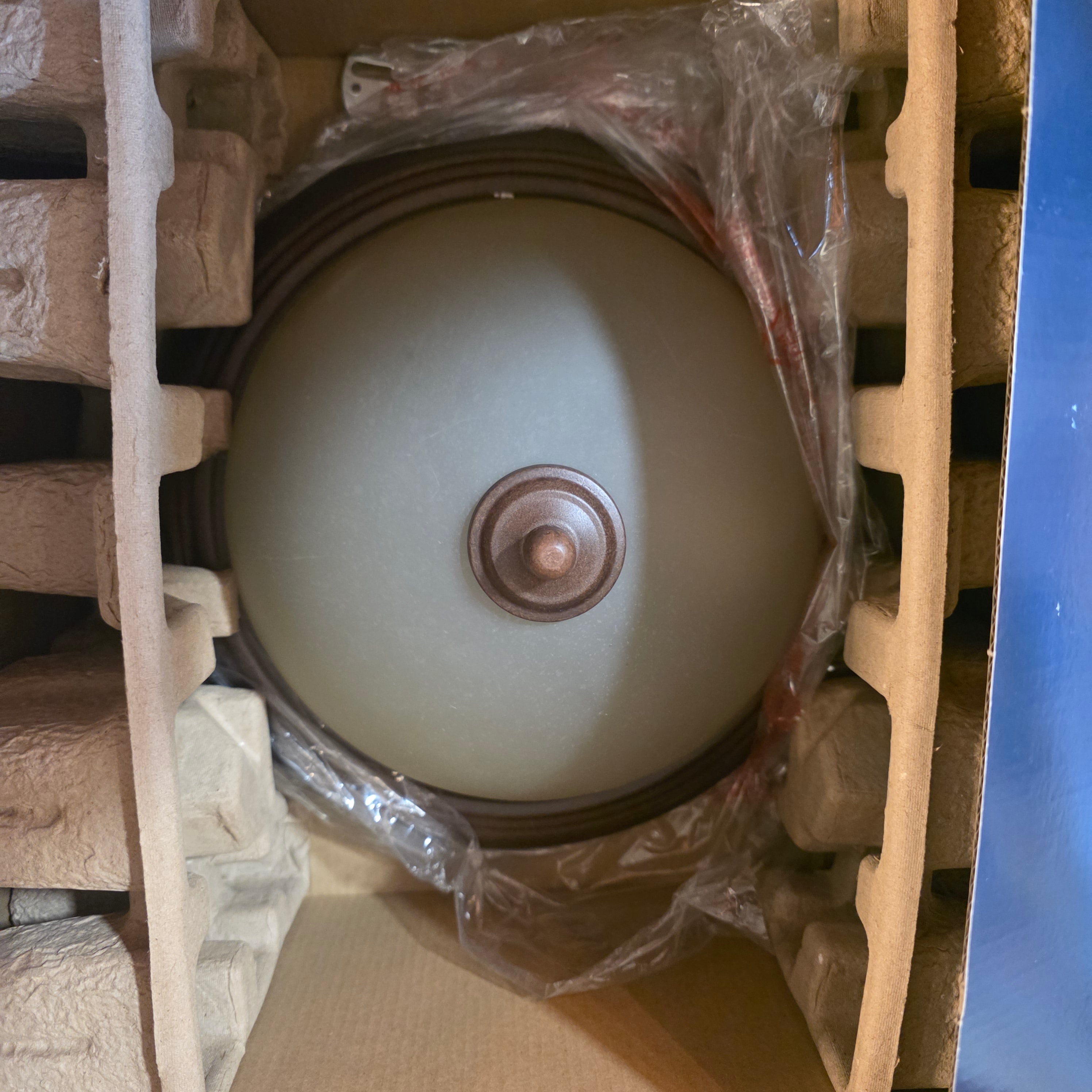 BRAND NEW IN BOX Project Source Flushmount Light 13"D