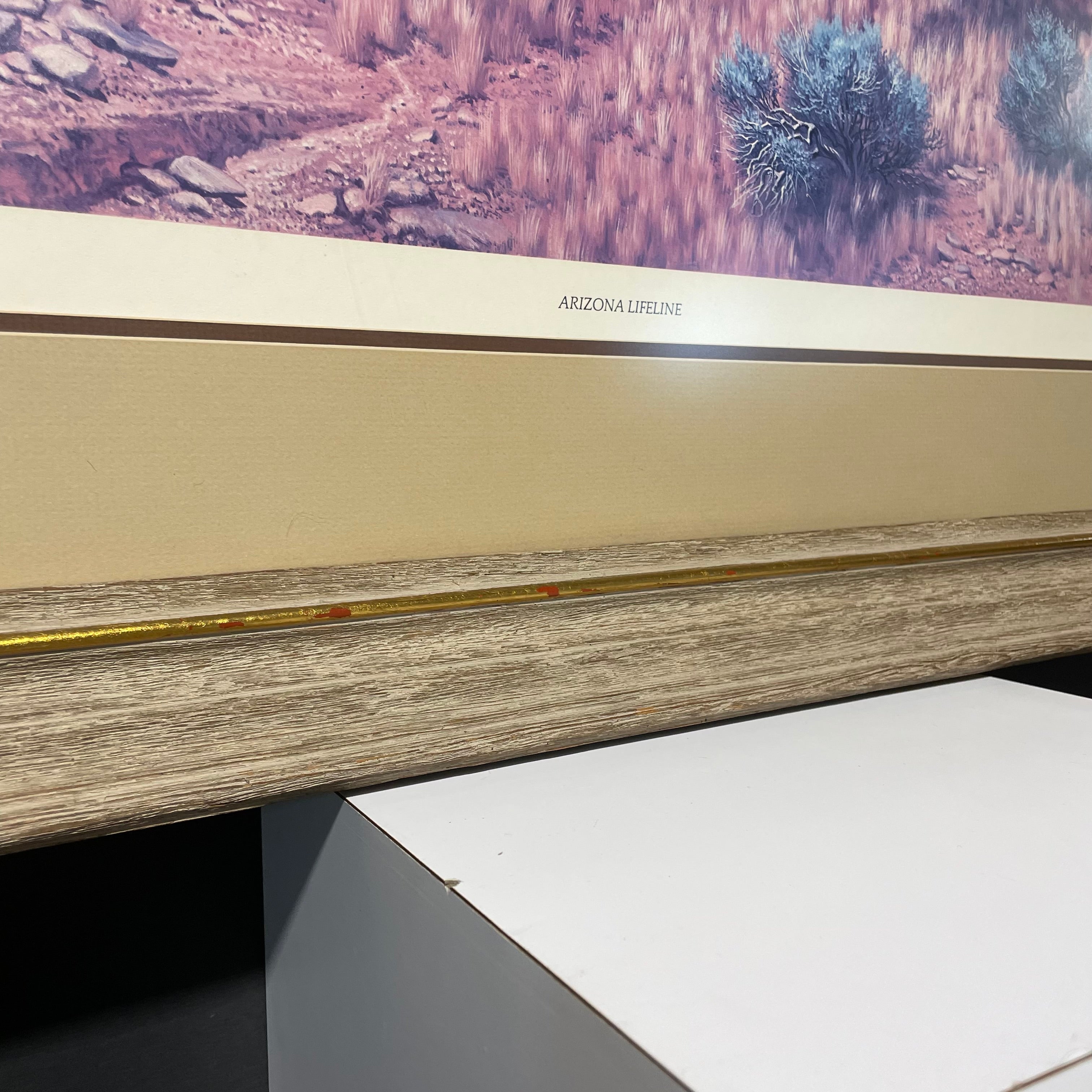 Fred Lucas "Arizona Lifeline" Print In Wooden Frame 43 1/2" x 34"