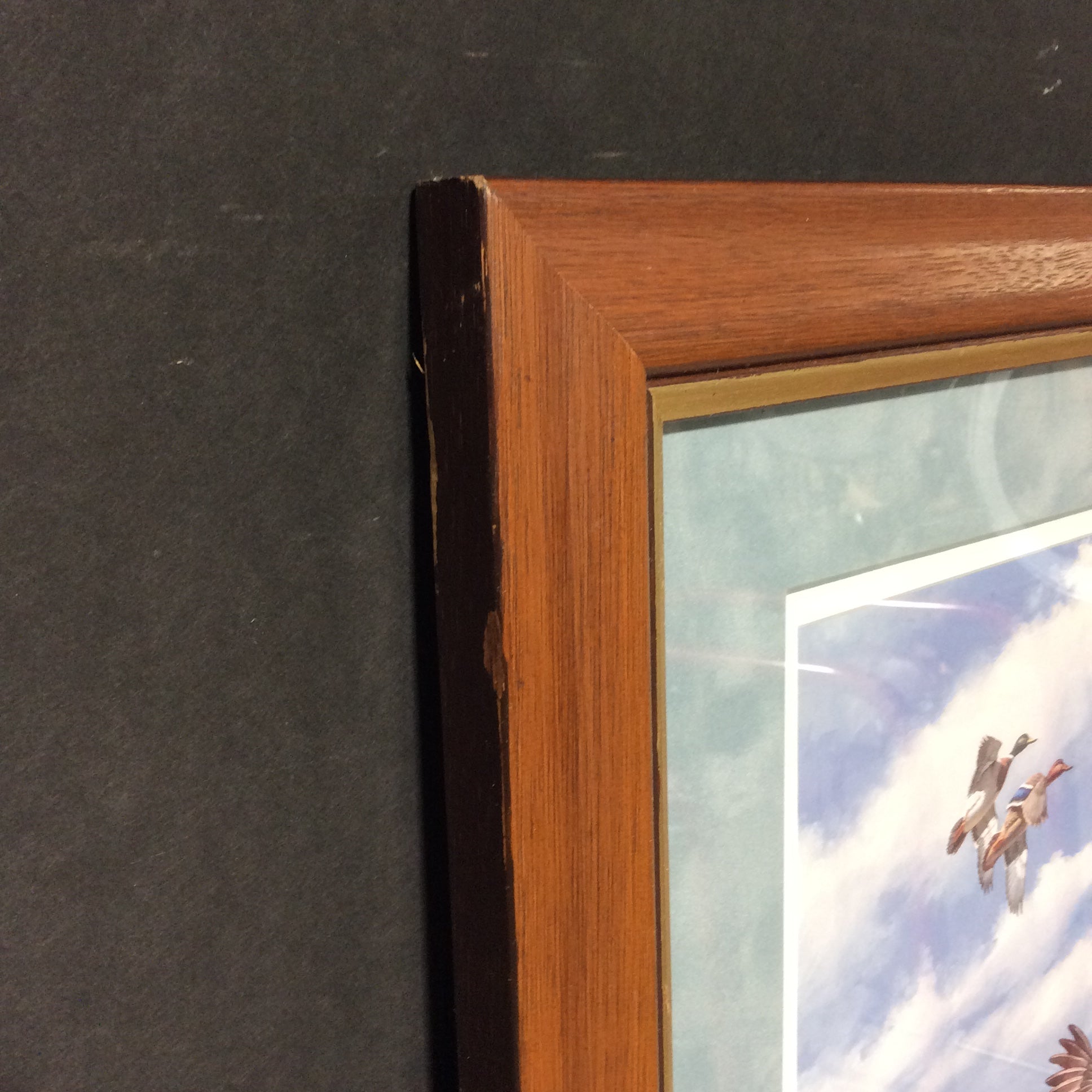 David A. Maass Limited Edition "Abrupt Departure" Print With Duck Stamps In A Wooden Frame 22 3/4" x 22 3/4"