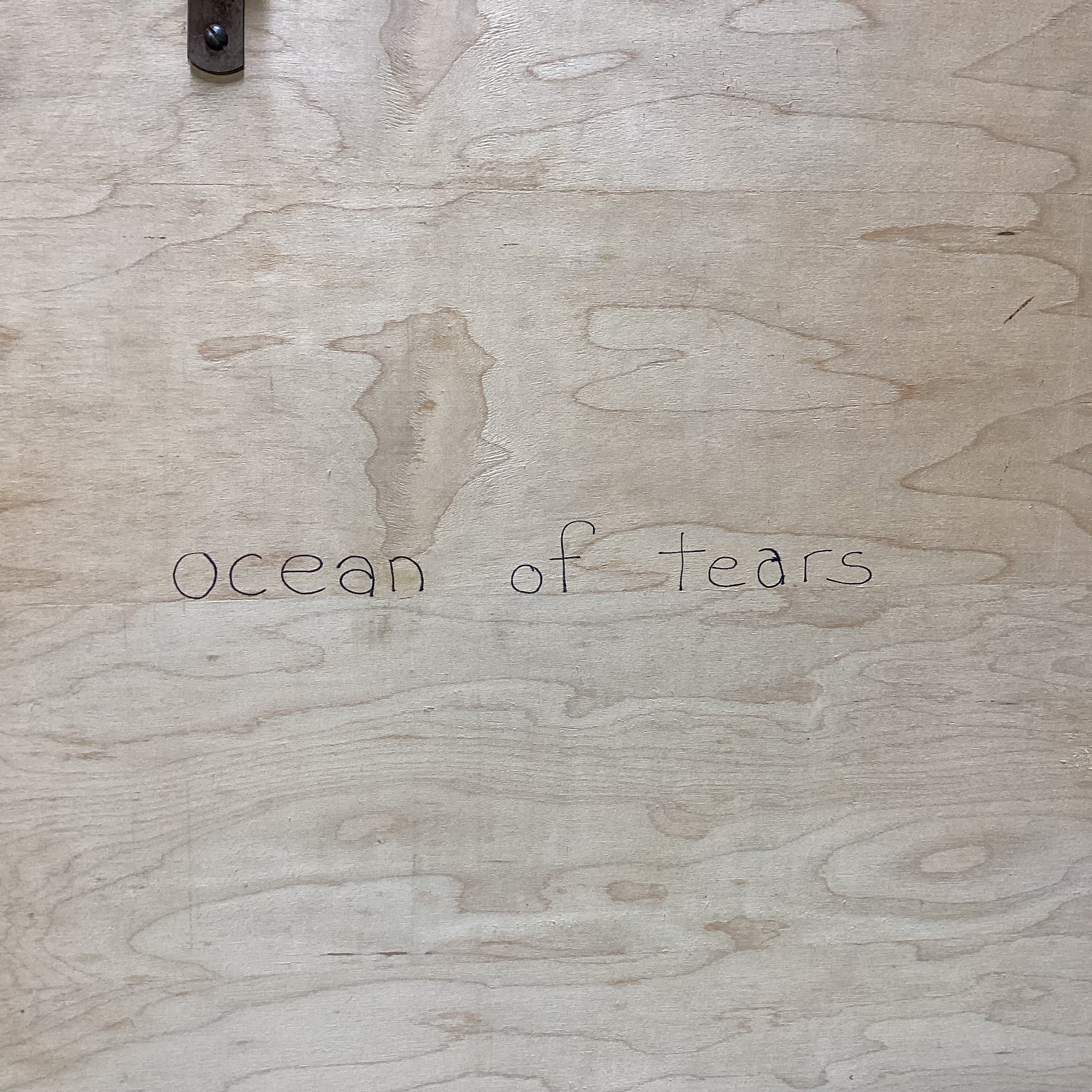 Beverly N. Signed/Dated "Ocean Of Tears" Artistic Wall Mirror  33" x 27"