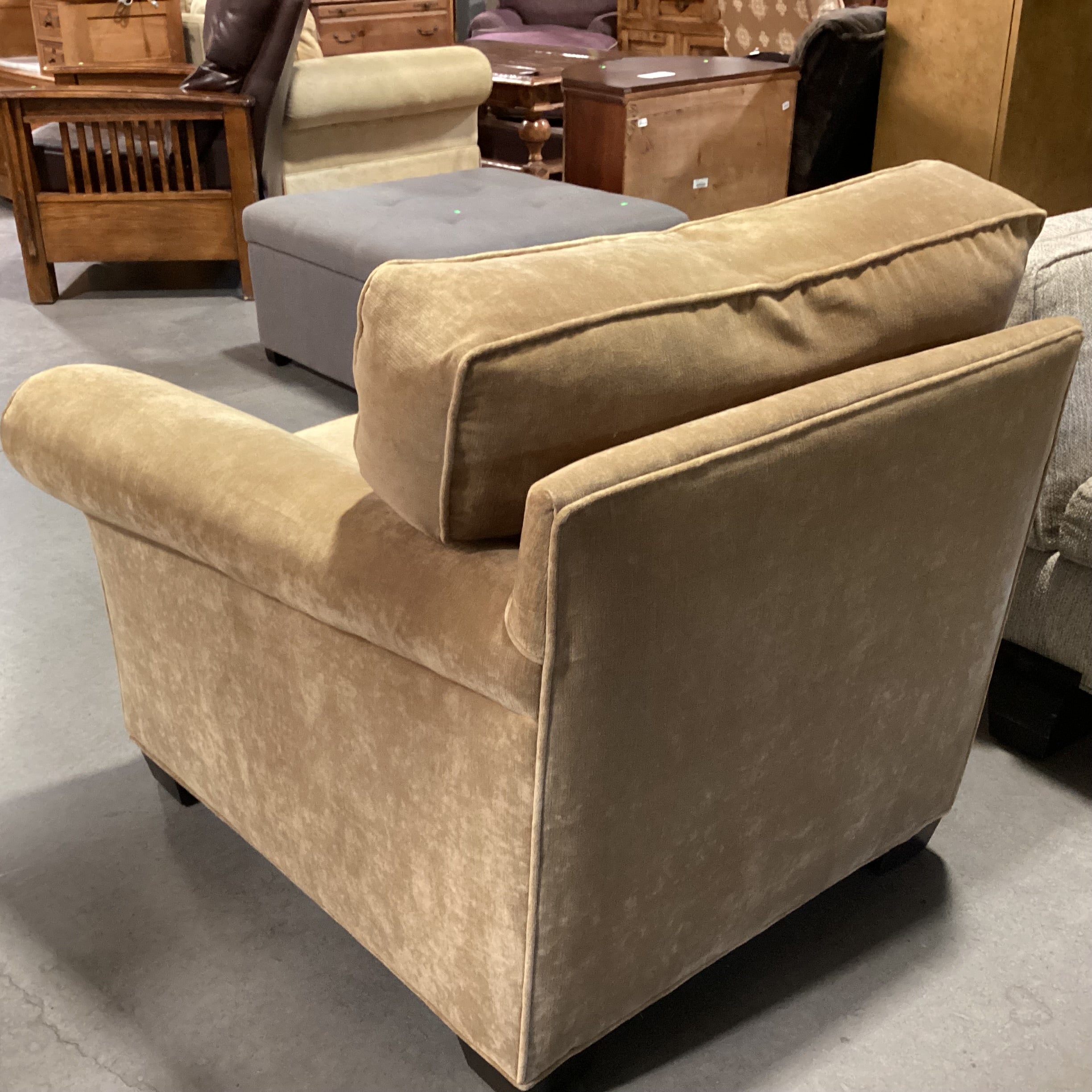 Richter Furniture Golden Velvet Roll Arm Chair 42"x 38"x 32"
