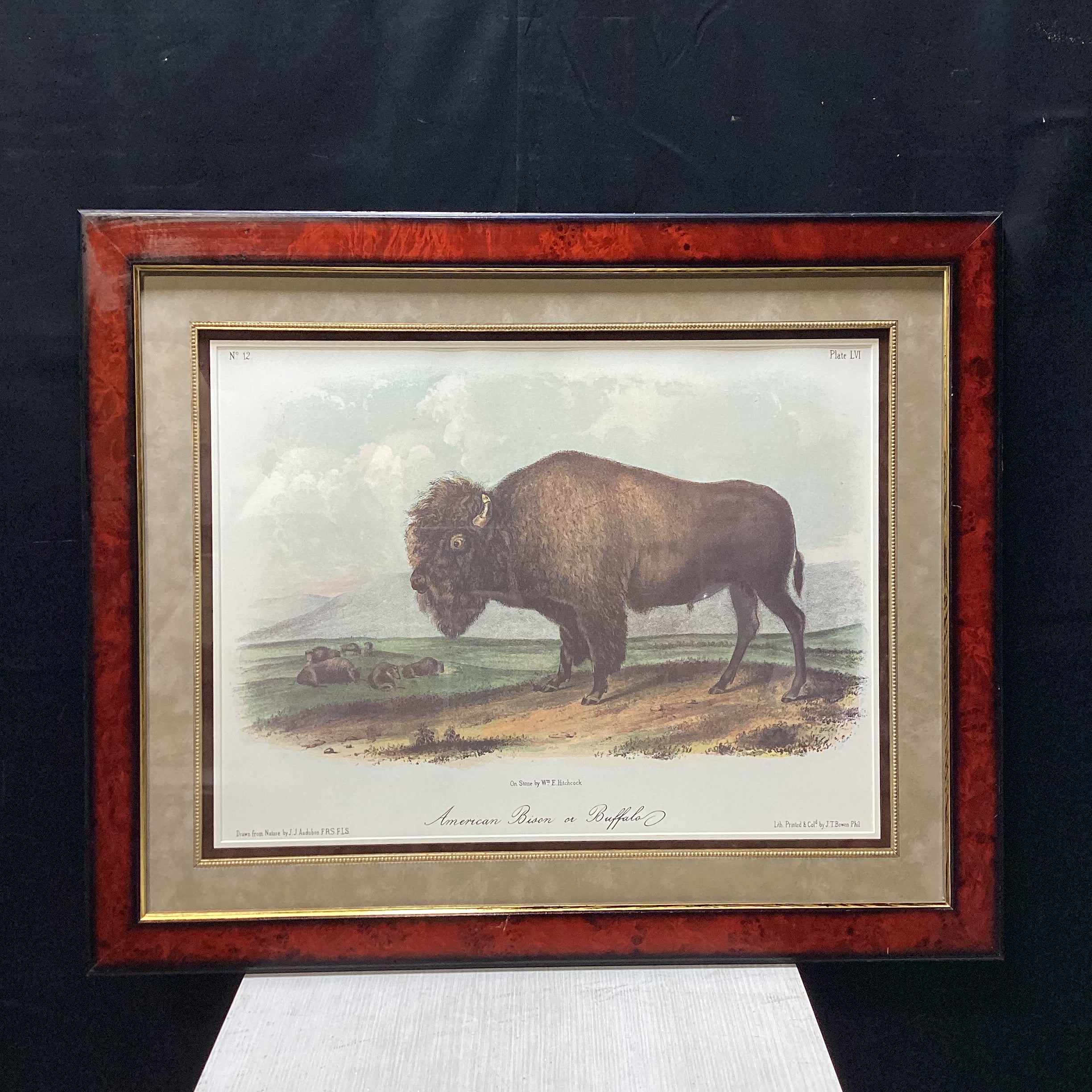 John Audubon "American Bison or Buffalo" Framed Lithograph Print 33.5" x 27.5"