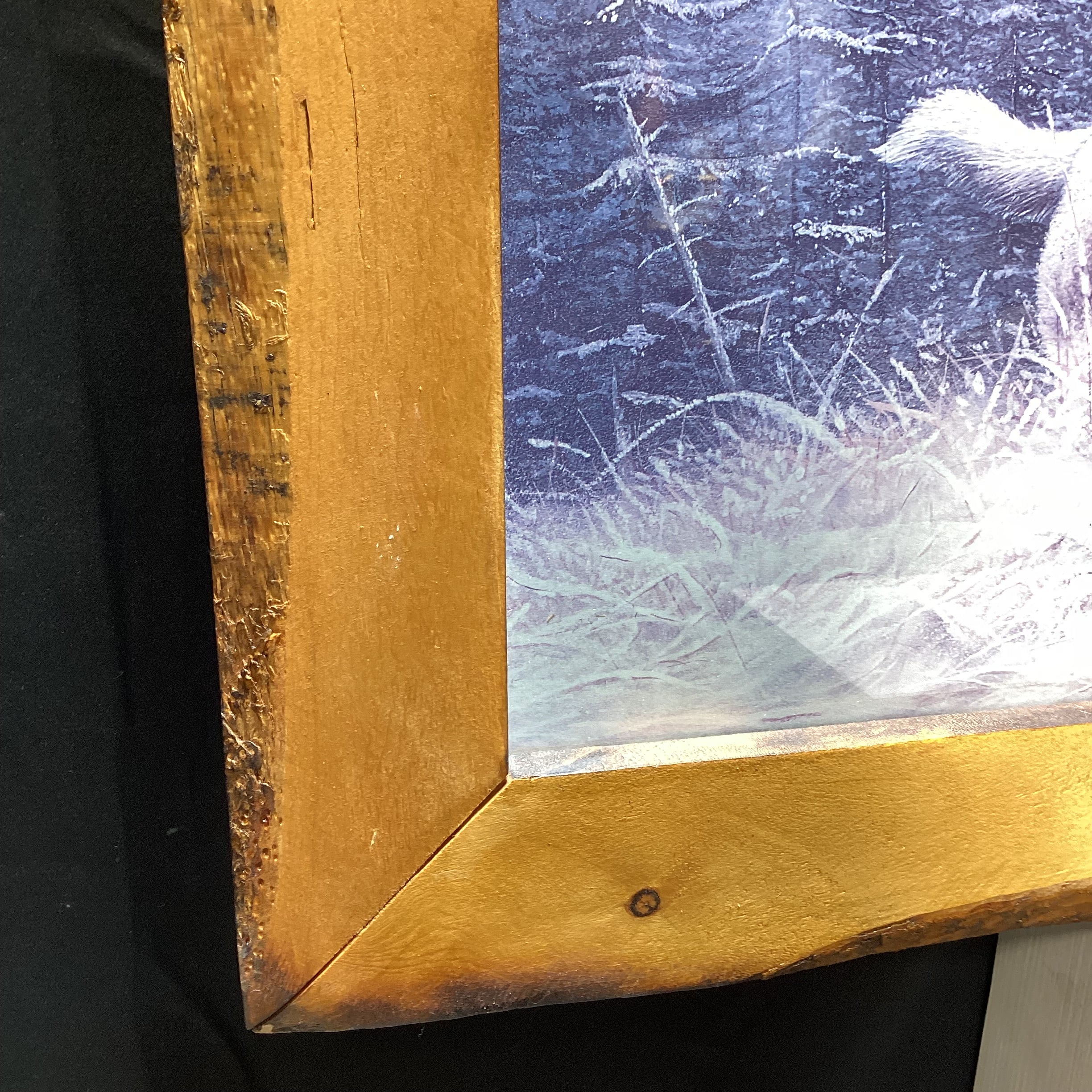 Kevin Daniel "Search For Survival" Print In Natural Wood Frame 41" x 21"