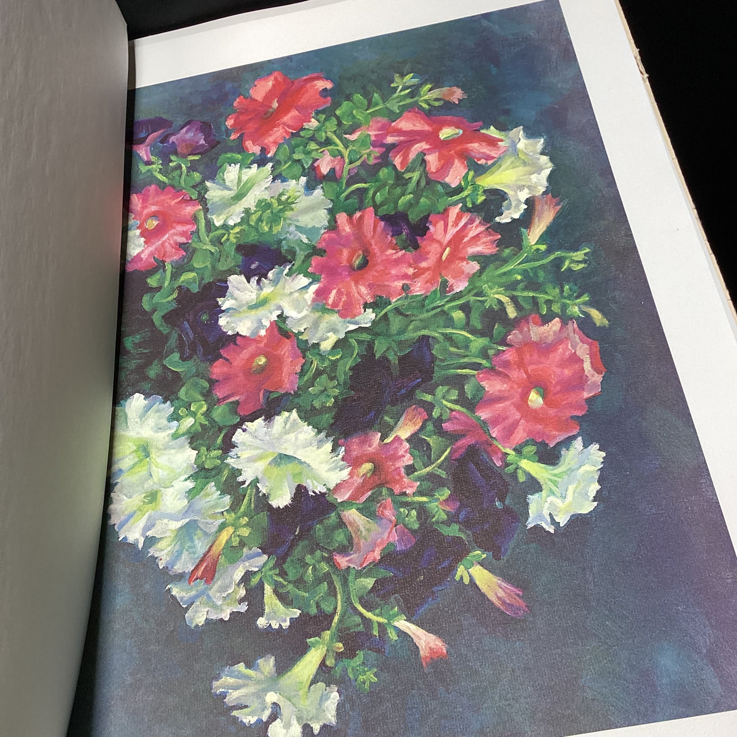 Taos, NM Artist Society 1927 Exhibition Portfolio With Colored 10 Prints 24" x 20"