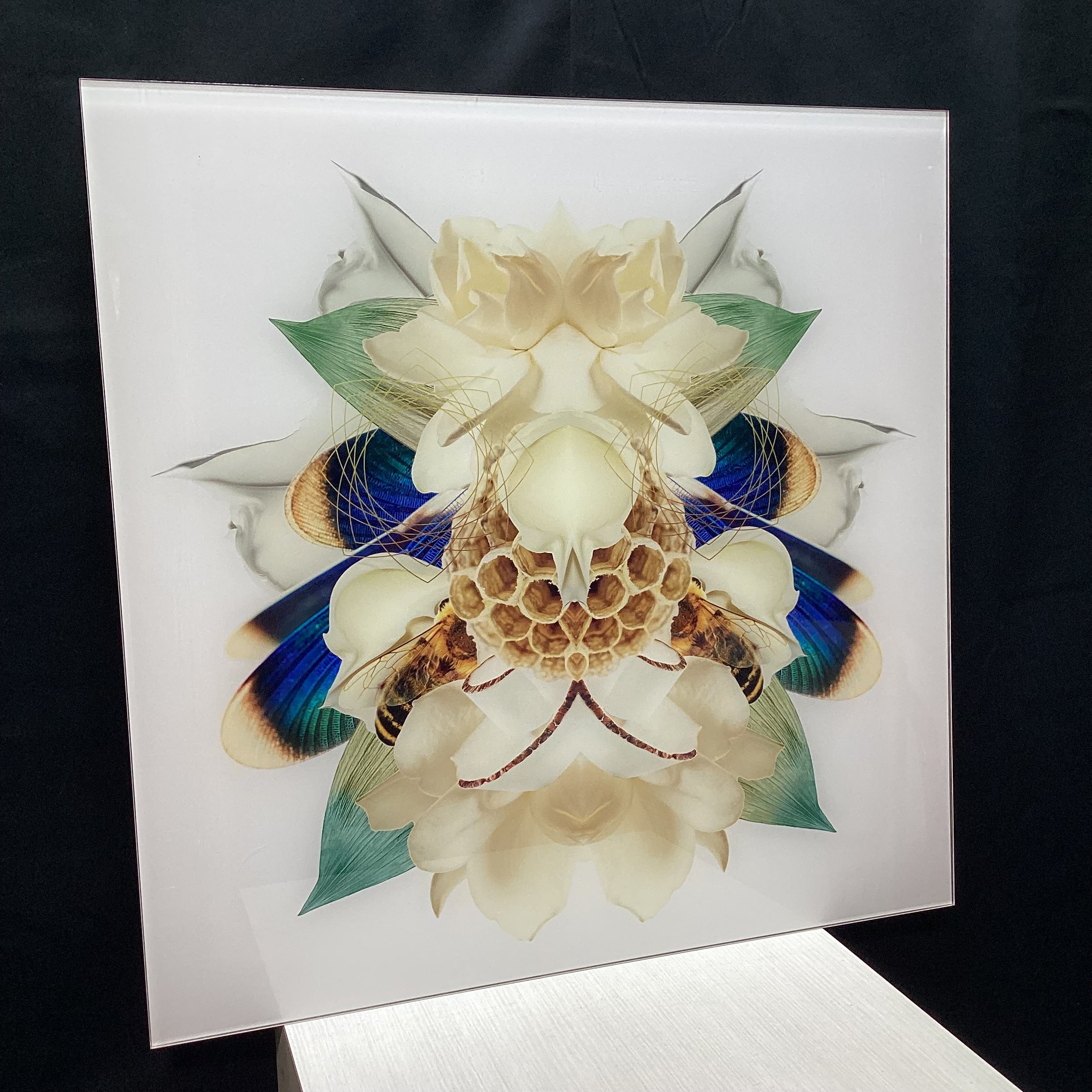 Symmetrical Bee/Nature Photograph Print 30" x 30"
