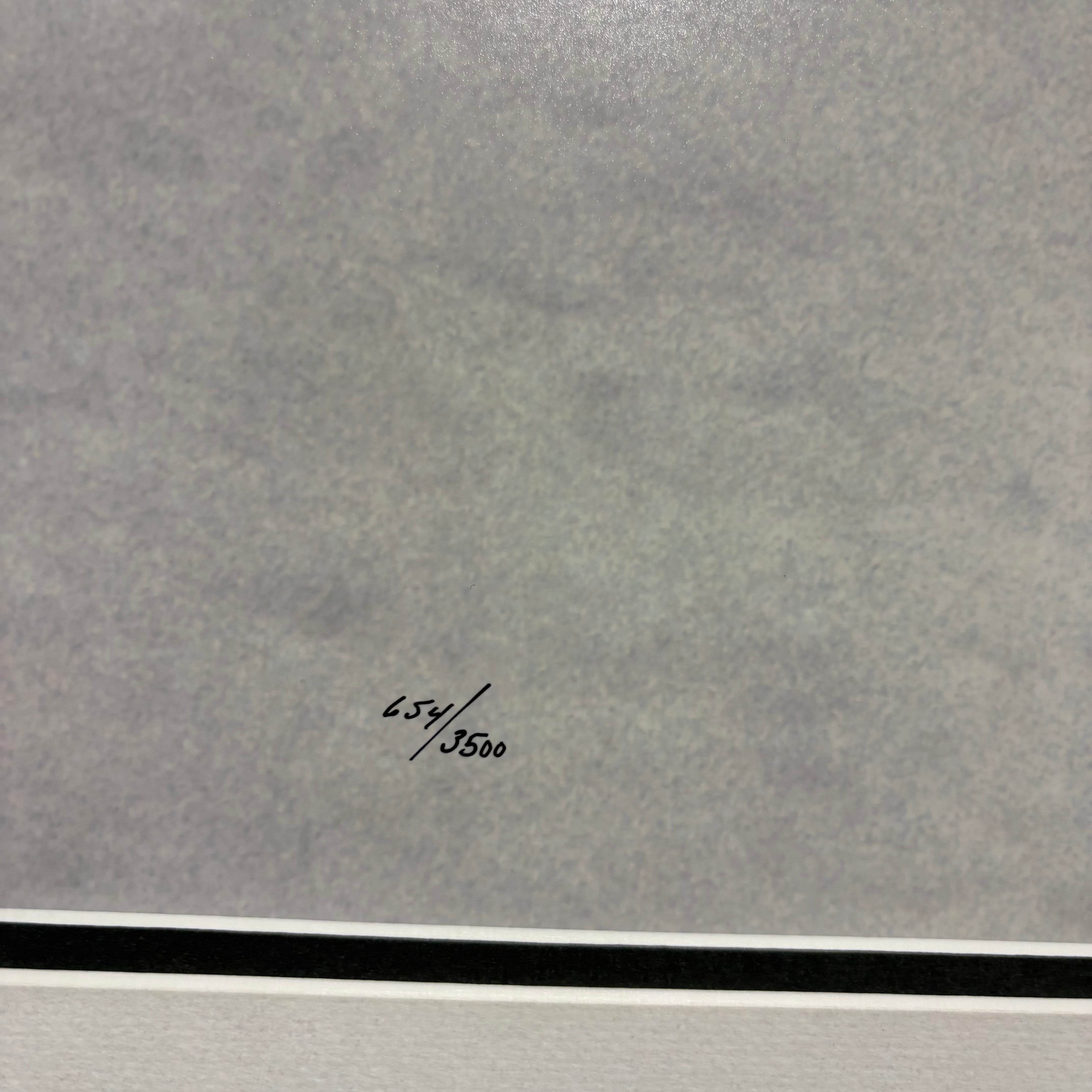 Thomas Mangelsen “Bad Boys of the Arctic” Signed and Frame Wall Decor 58” x 44”