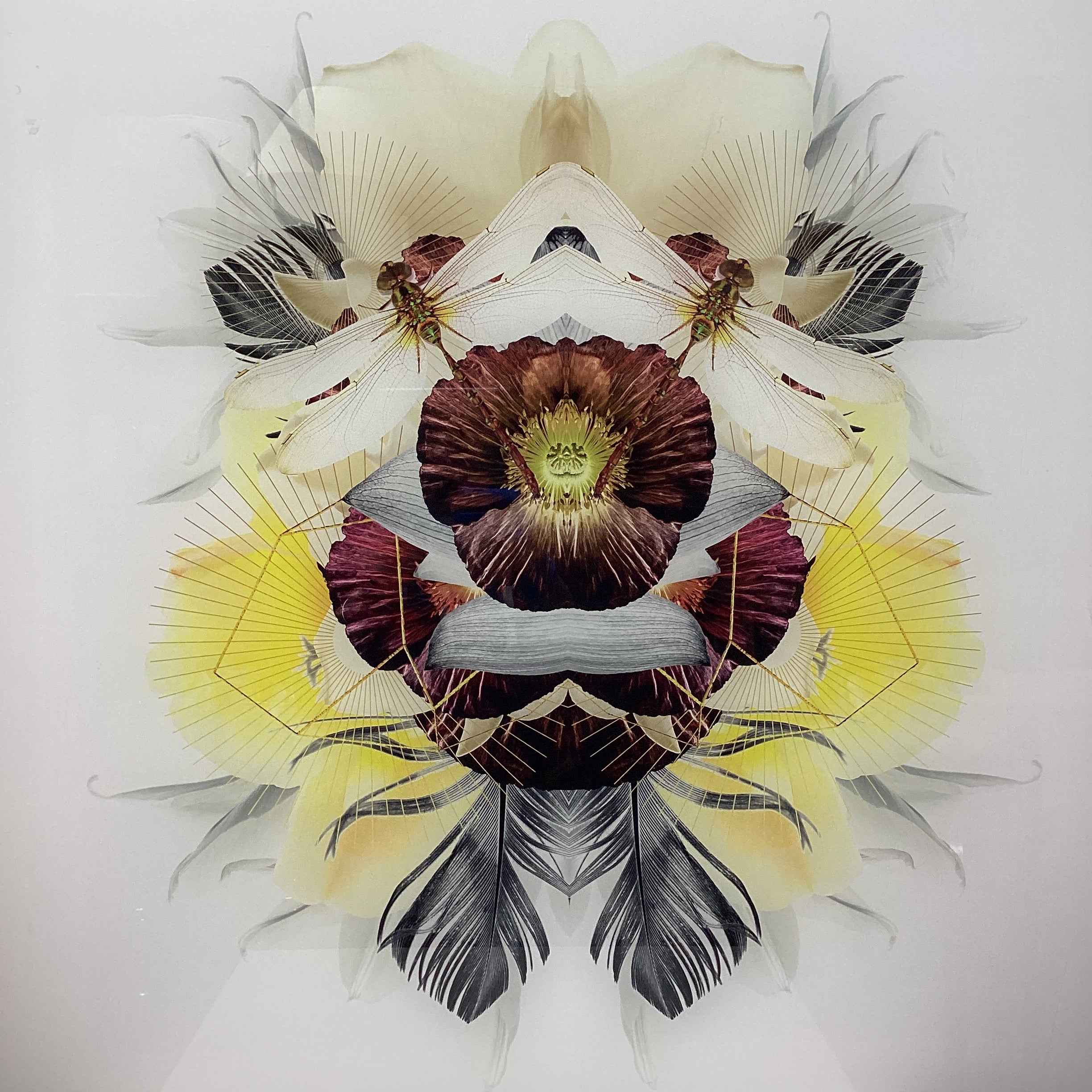 Symmetrical Dragonfly/Nature Photograph Print With Gold Geometric Details 30" x 30"