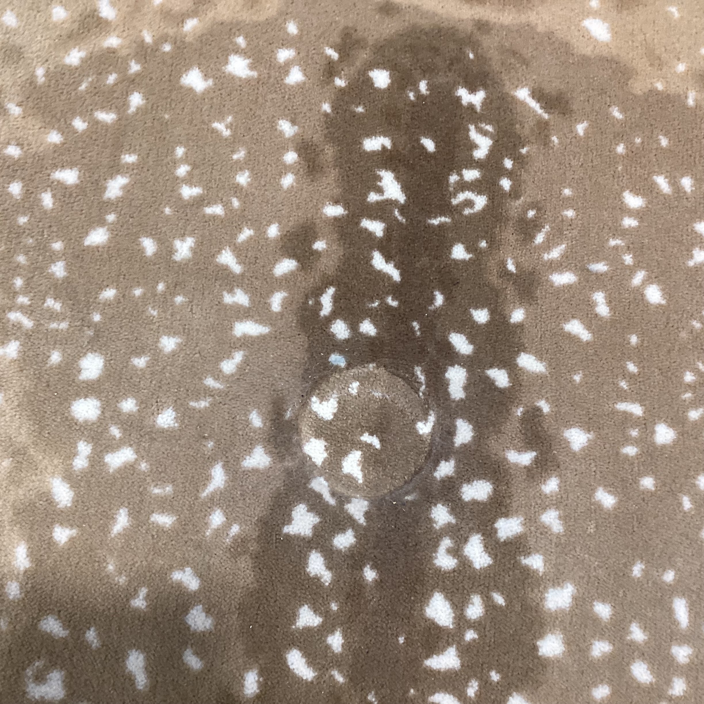 Axis Deer Style Custom Finished Carpet Rug 12'x 16'