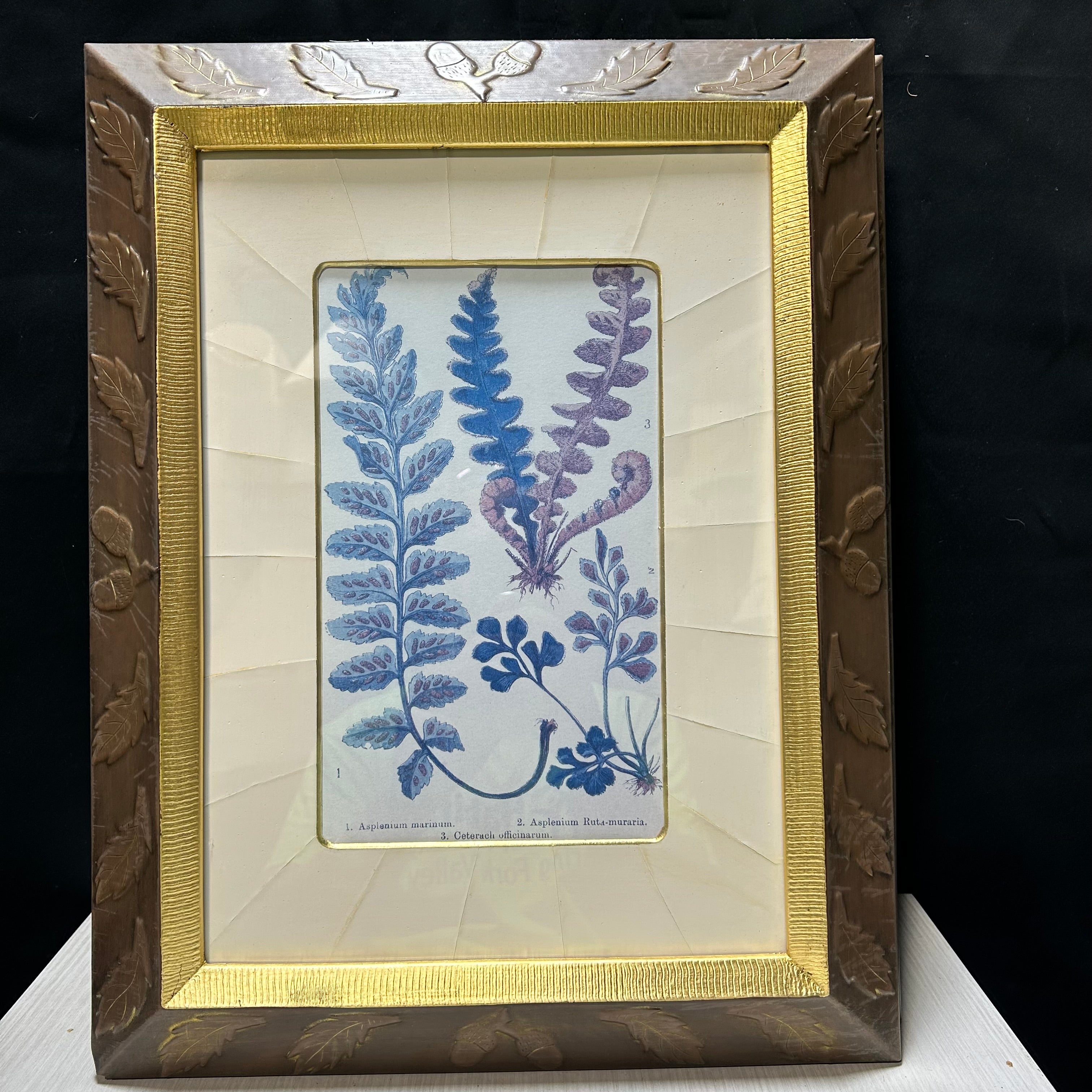 Botanical Fern Print With Gold & Copper Oak Leaf Frame 14.5"x 19"