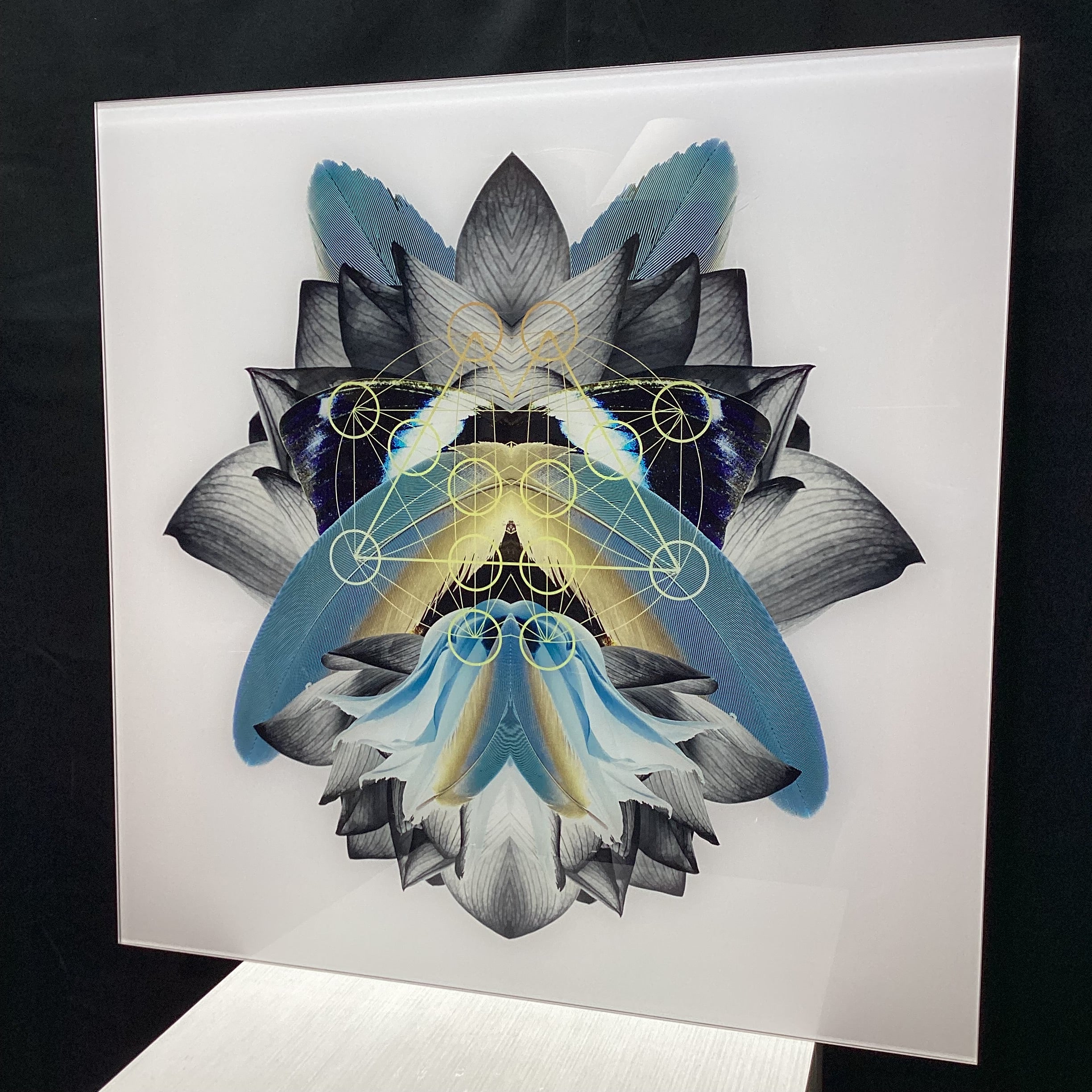 Symmetrical Feather/Nature Photograph Print With Gold Detailing 30" x 30"