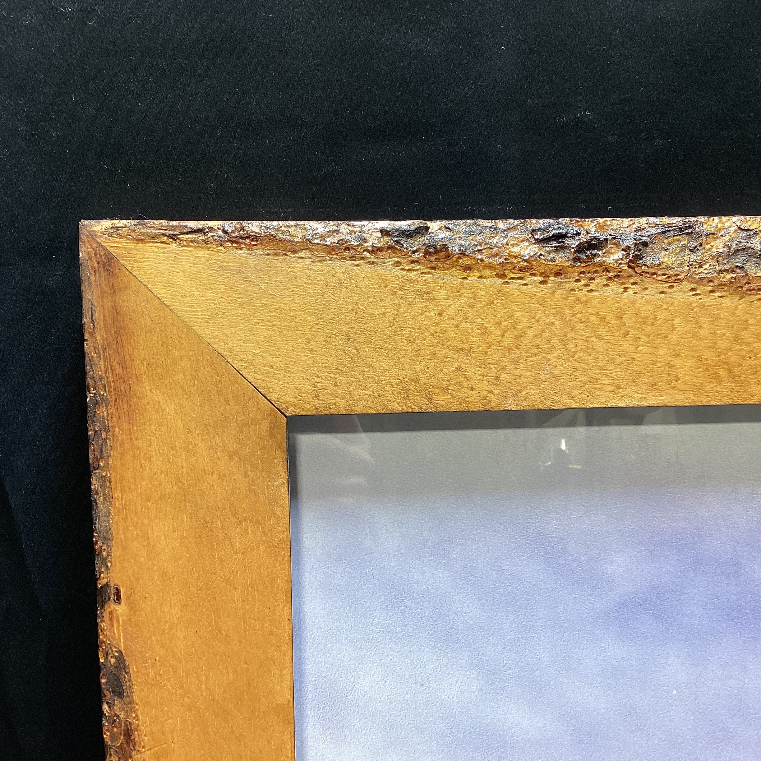 Kevin Daniel "Search For Survival" Print In Natural Wood Frame 41" x 21"