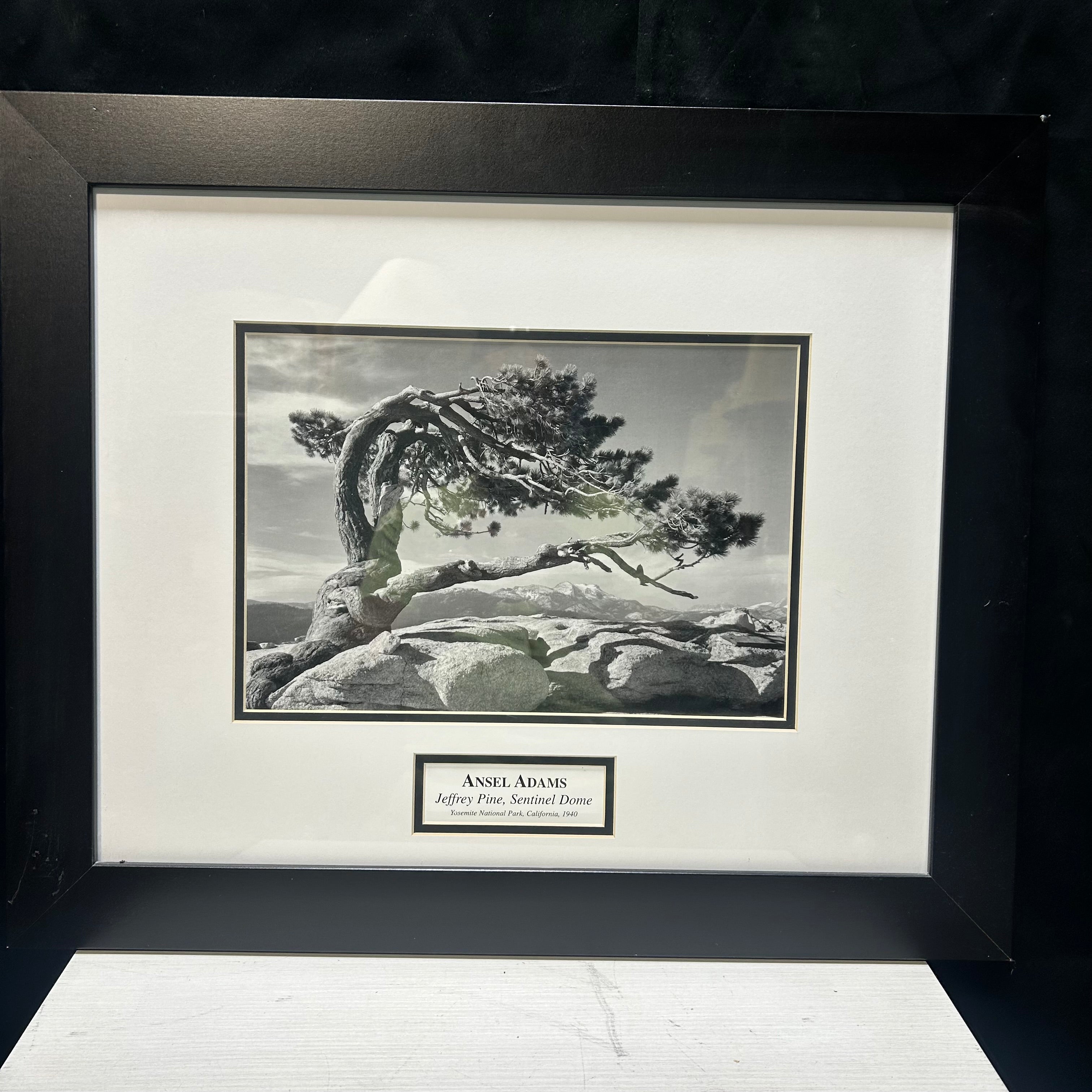 Ansel Adams "Jeffrey Pine, Sentinel Dome" 23.5"x 19.5"