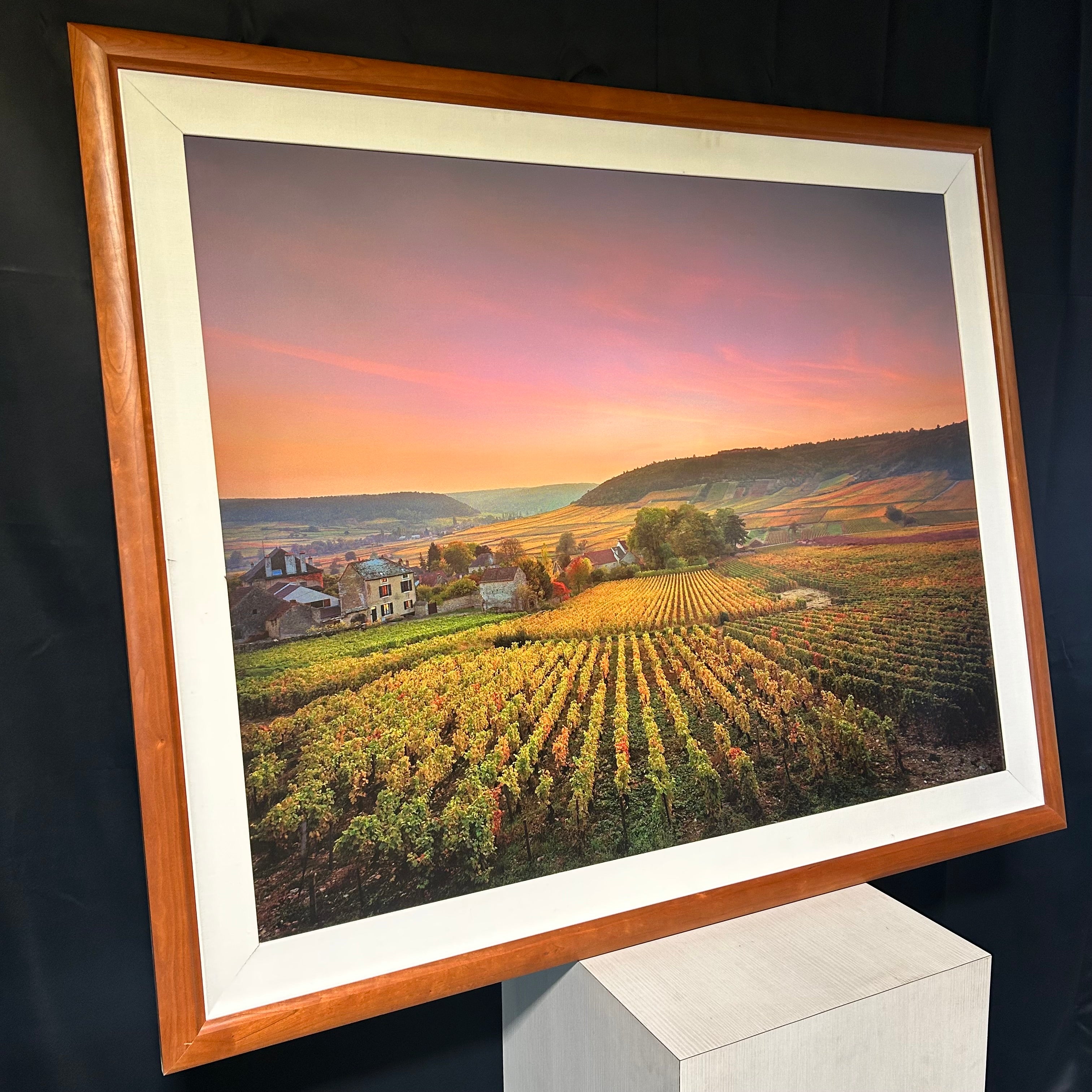 Large Print On A Panel Of A Vinyard  59"x 48"