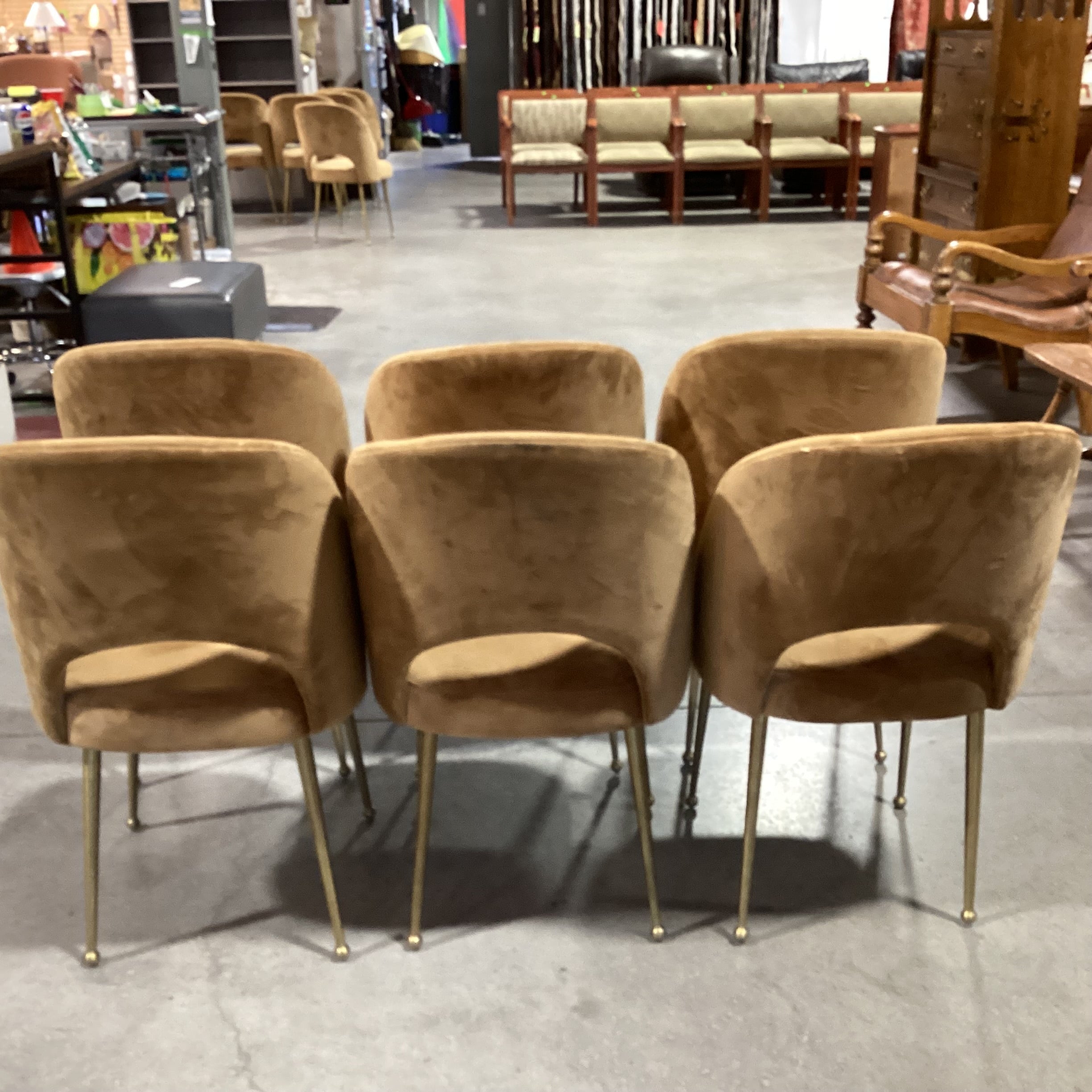 Set of 6 TOV Swell Performance Cognac Velvet & Gold Metal Dining Chairs 18.5"x 21"x 33.5"