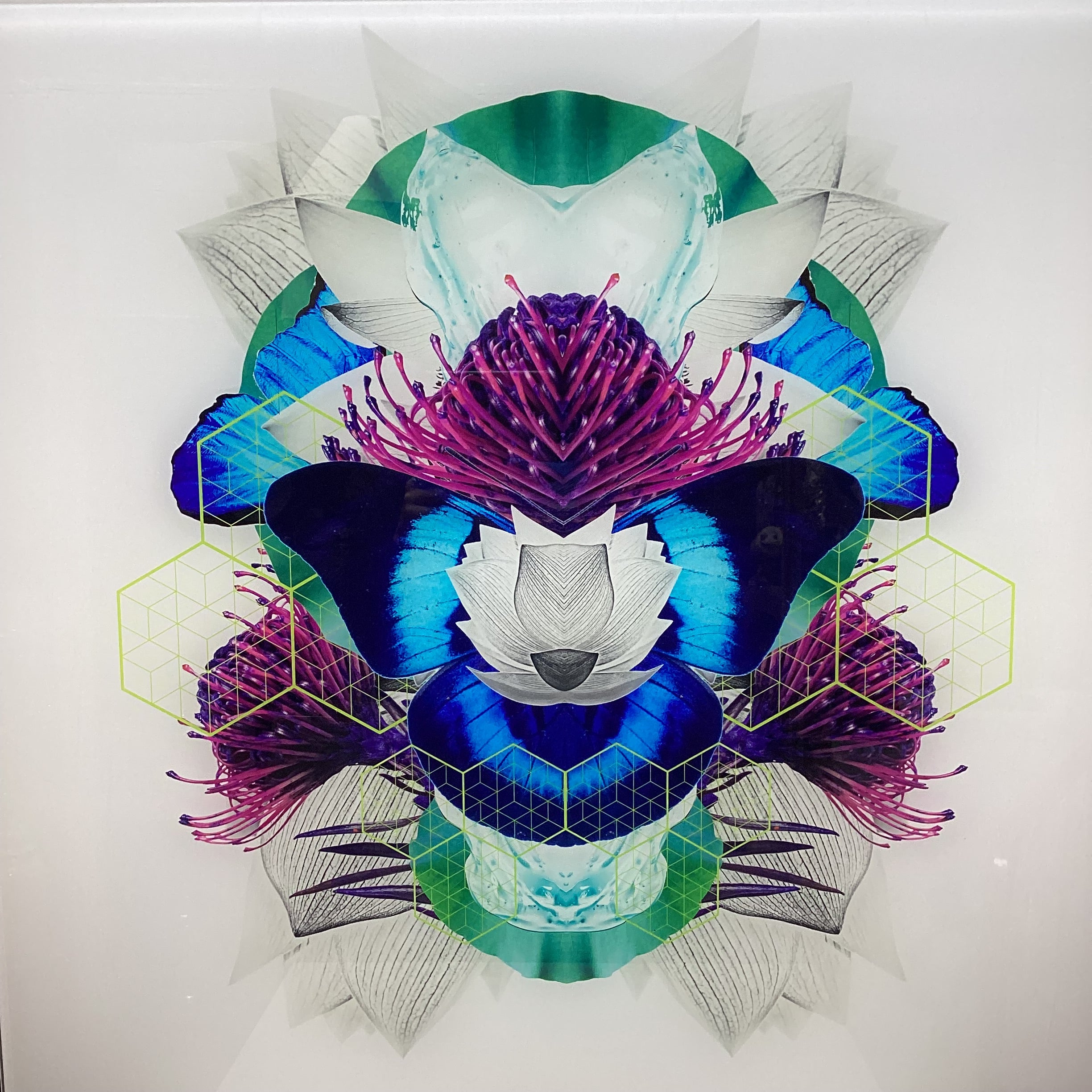 Symmetrical Butterfly/Nature Photograph With Digital Collage Detailing 30" x 30"