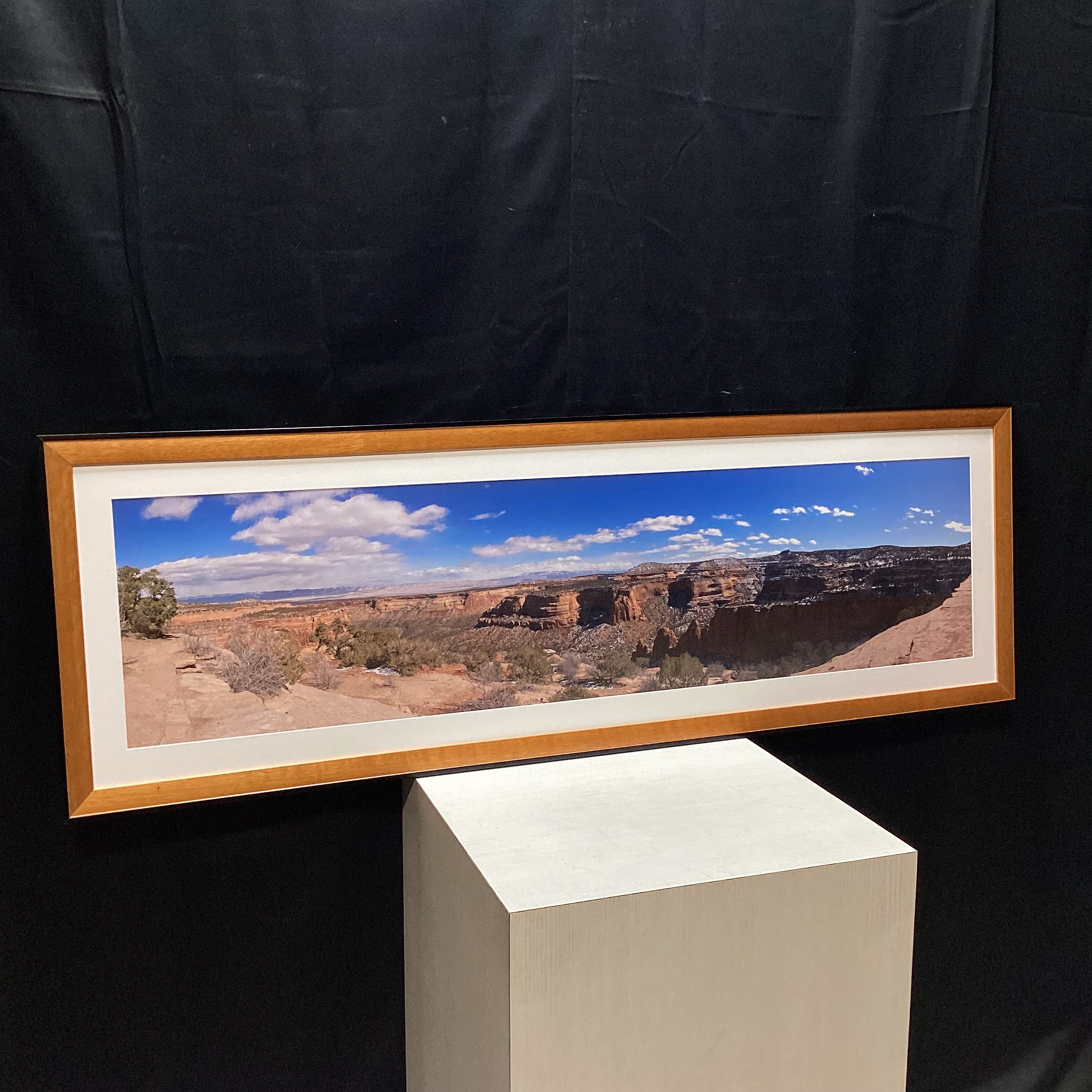 Panoramic Canyon Photograph In TruGuard Frame 58" x 19"