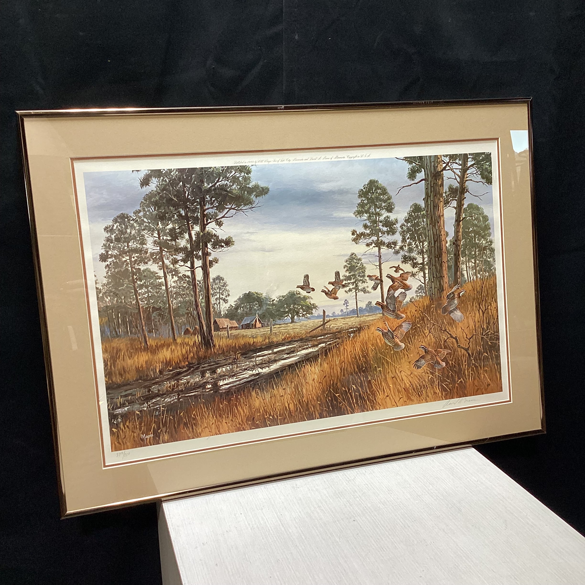 David A. Maass Signed "After the Rain" Limited Edition Print 31" x 22"
