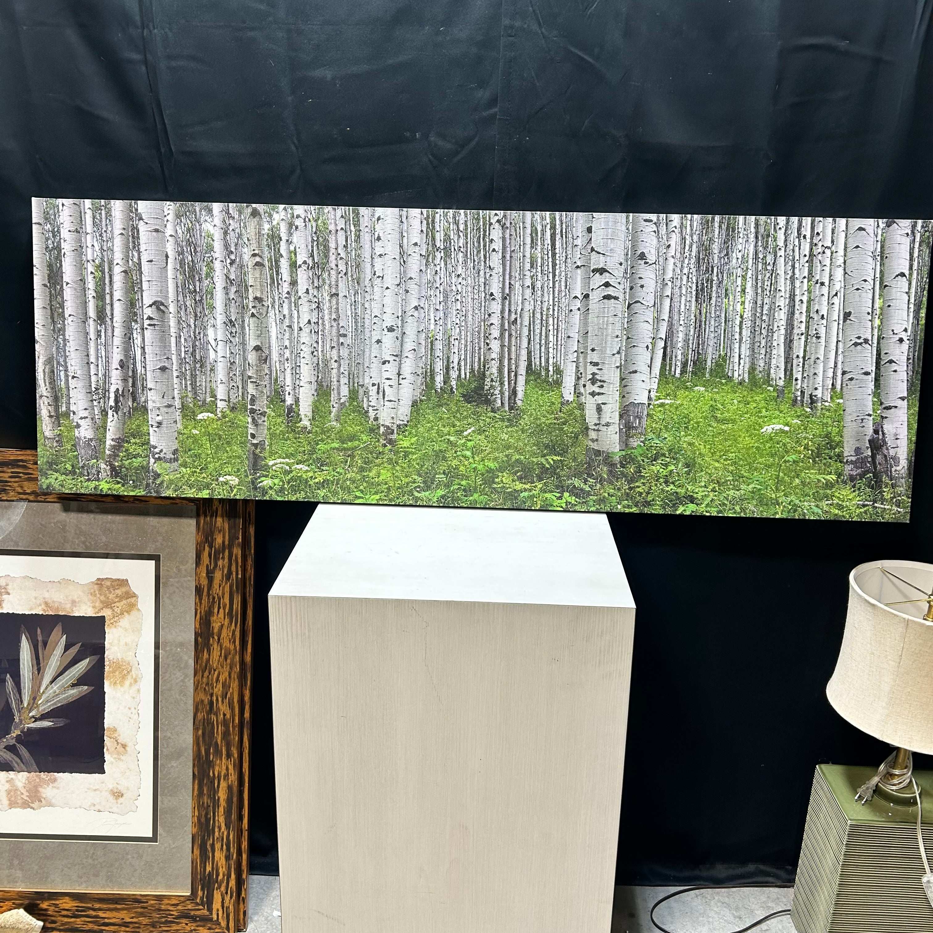 Aspen Tree Canvas Print 60"x 20"