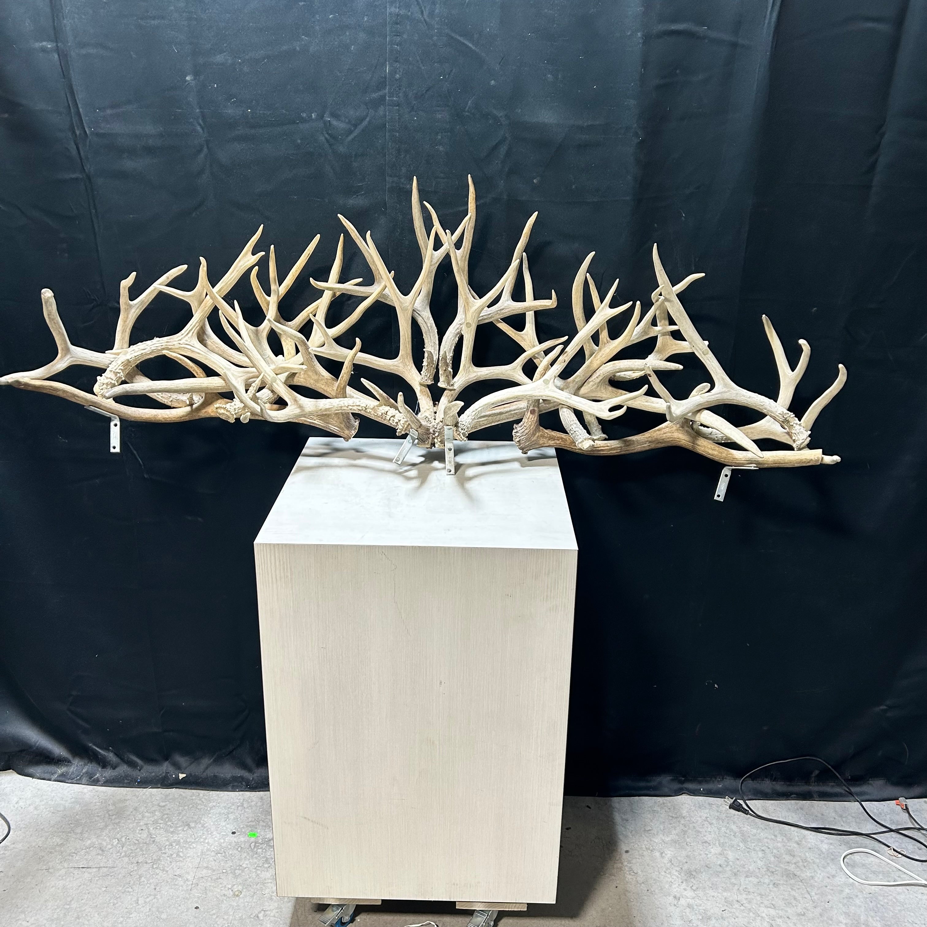 Custom Mount Of Horizontal Natural  Antler Mix 54"x 19'x 14"