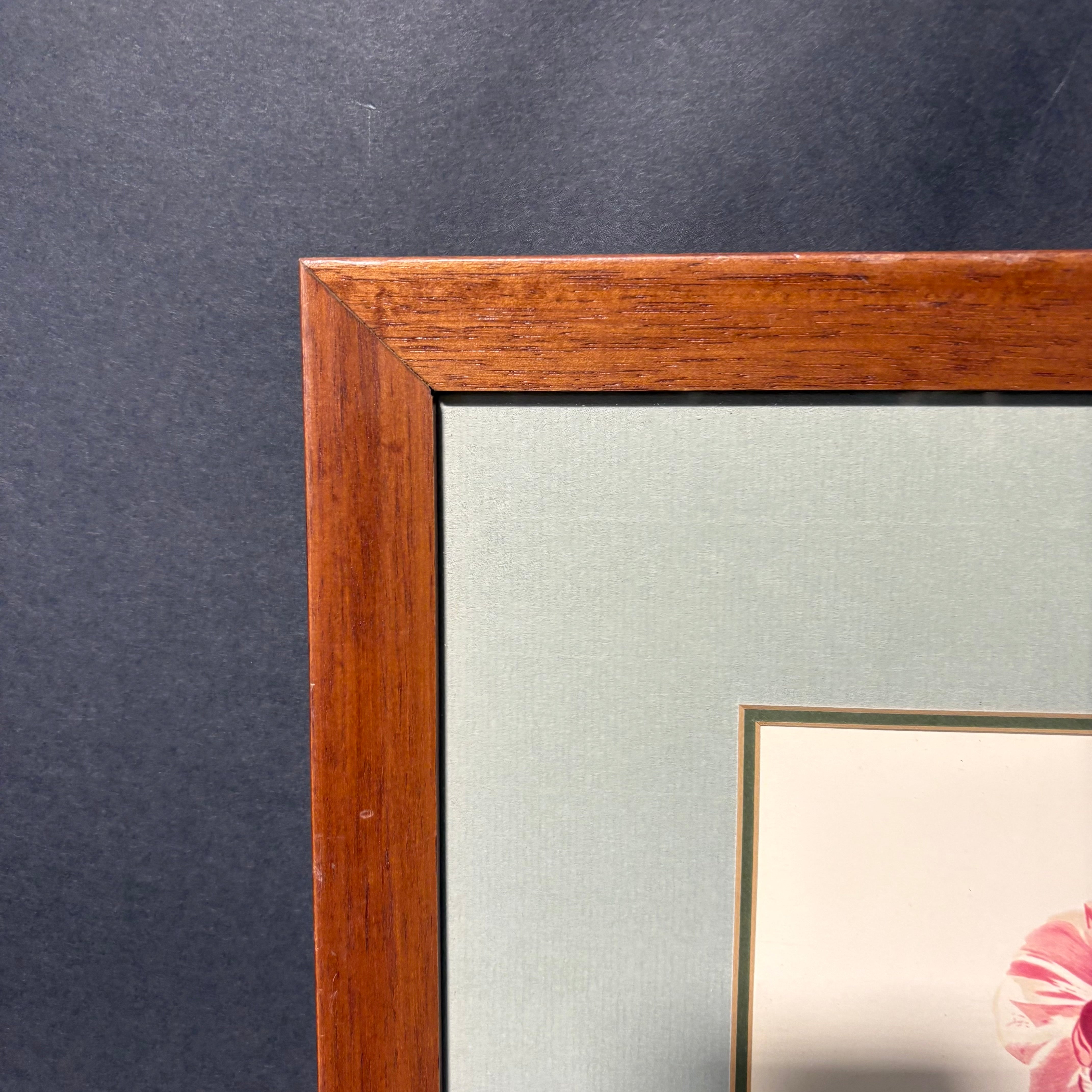 Georg D. Ehret The Common Province Rose Floral Print Framed Wall Decor 16” x 21”