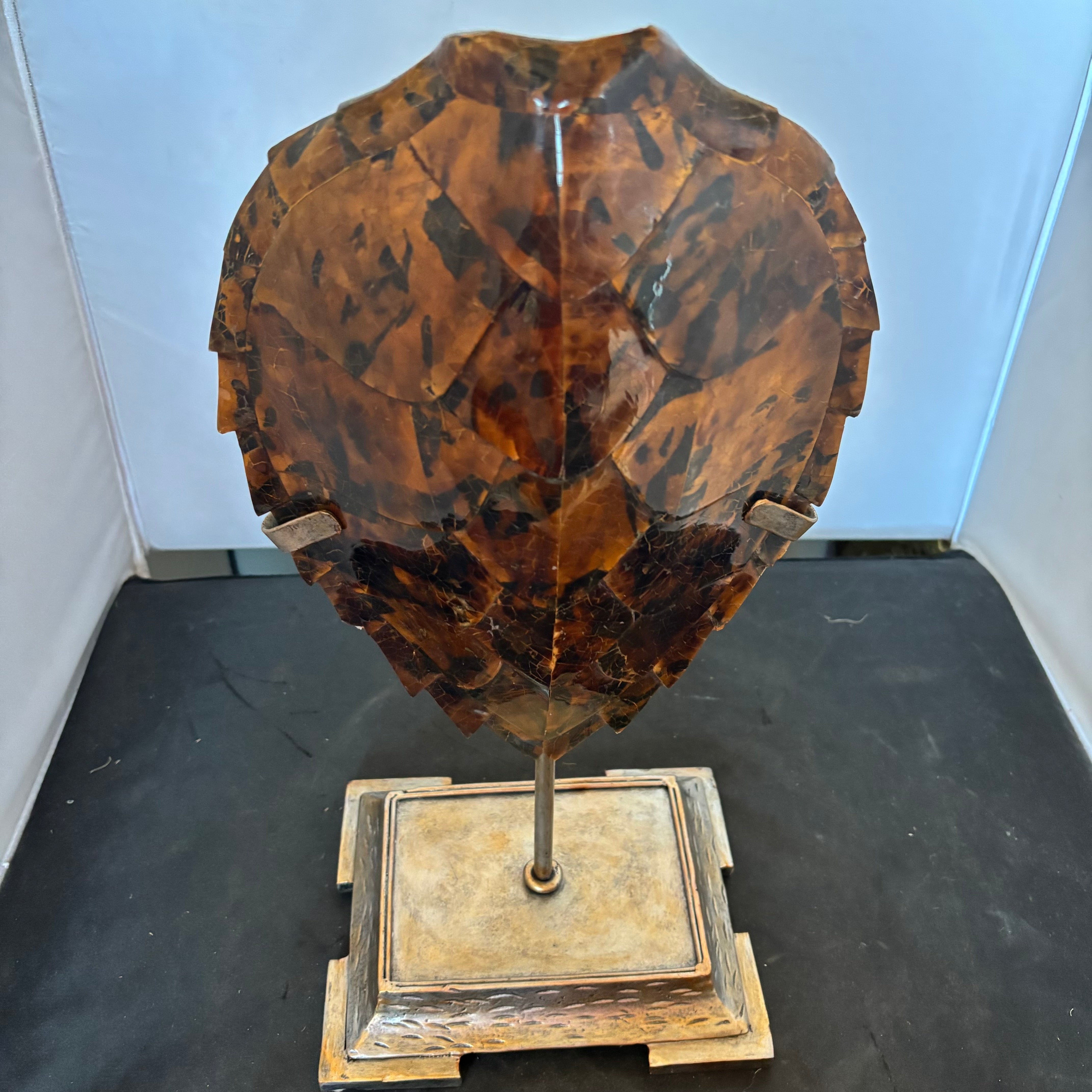 Decorative Detailed Faux Turtle Shell on Metal Stand, 8" x 17"