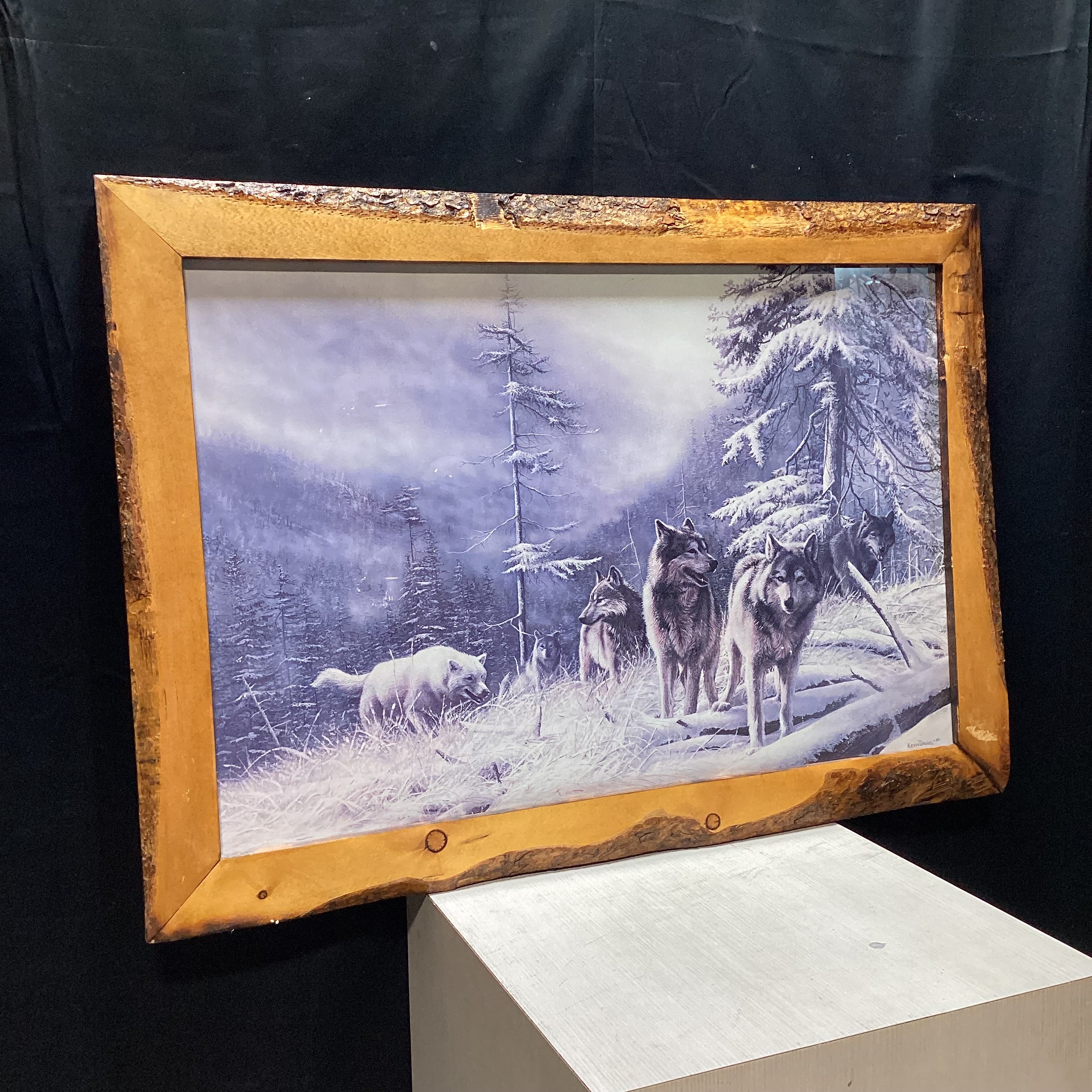 Kevin Daniel "Search For Survival" Print In Natural Wood Frame 41" x 21"