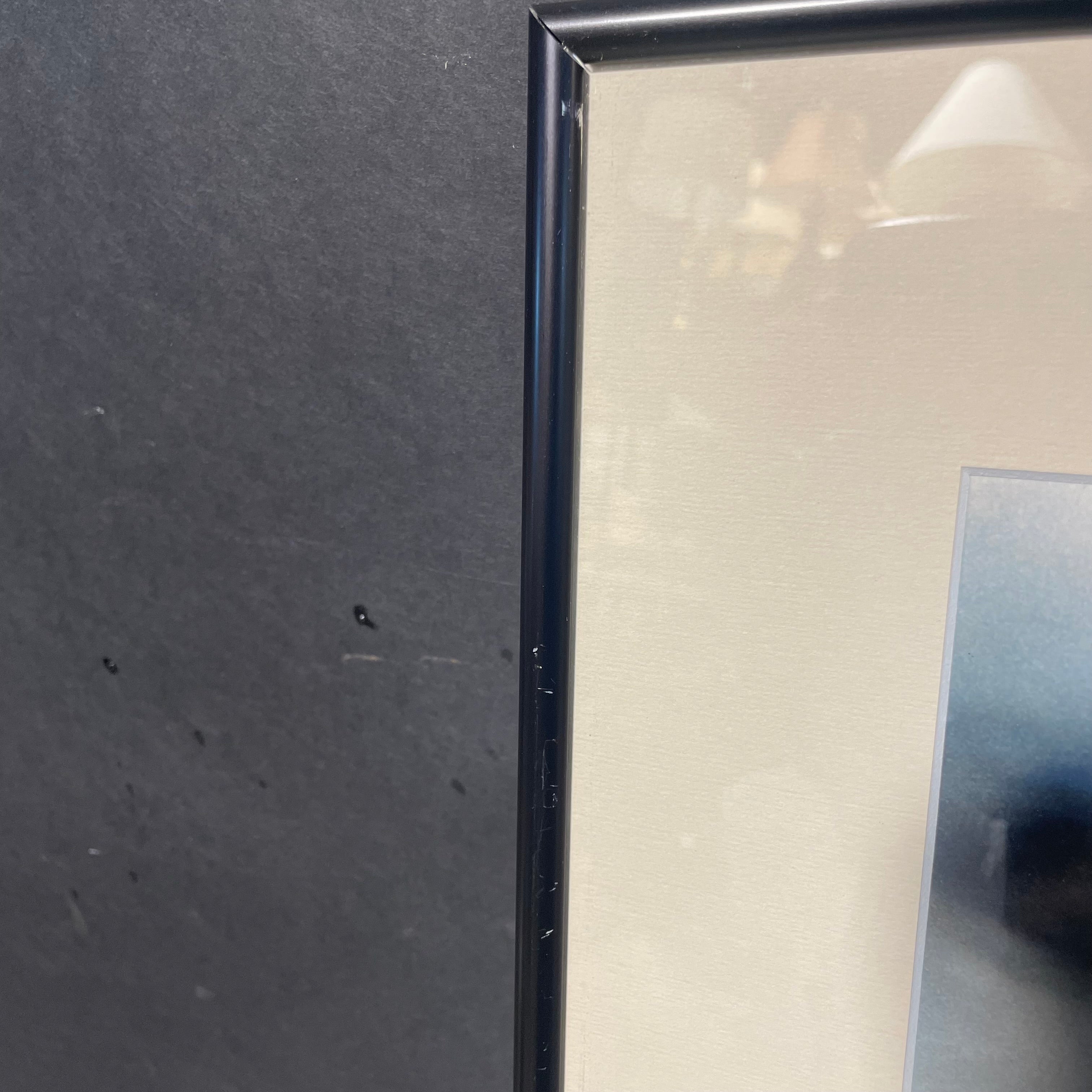 Lion Cub Photograph In A Black Frame 18 1/2" x 16"