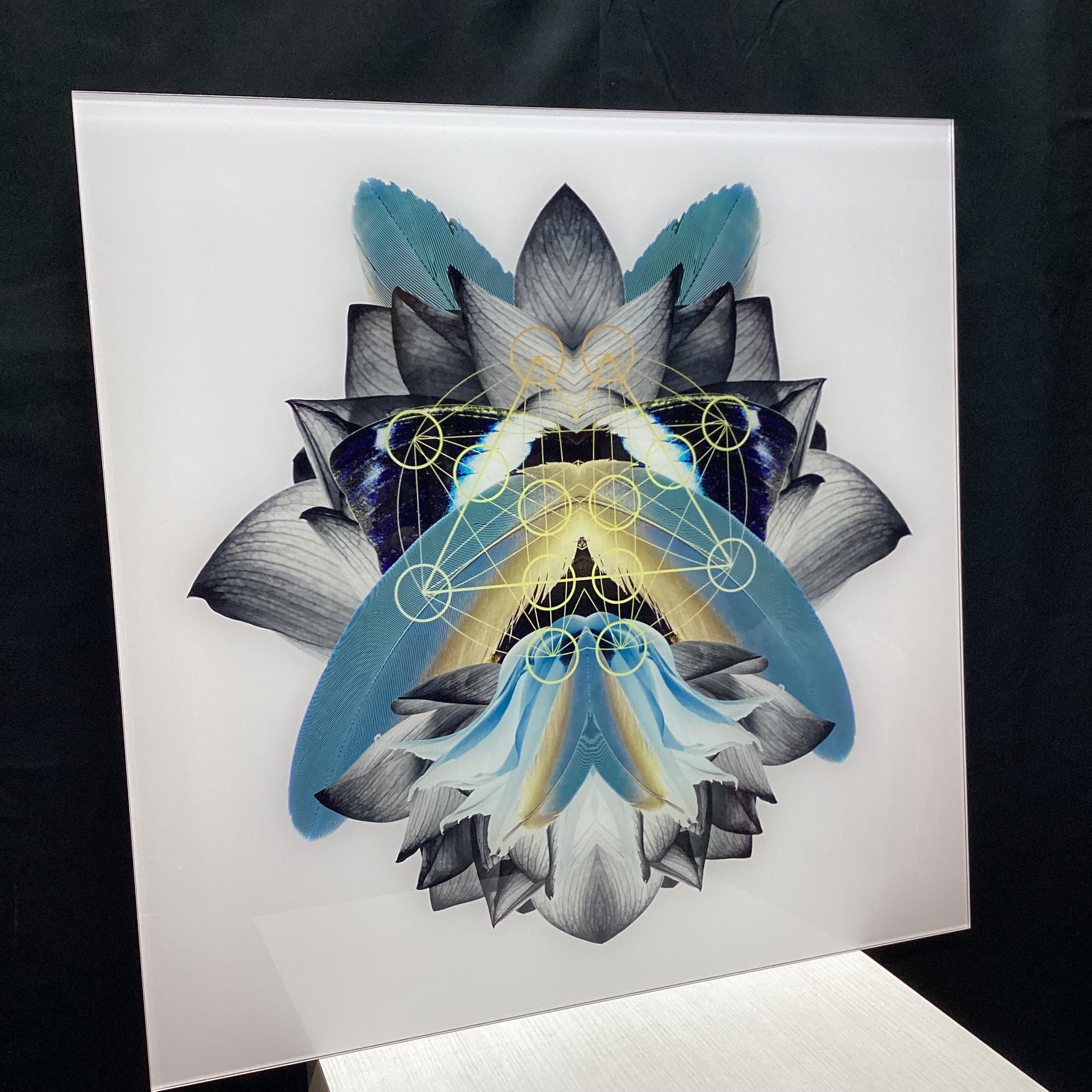 Symmetrical Feather/Nature Photograph Print With Gold Detailing 30" x 30"
